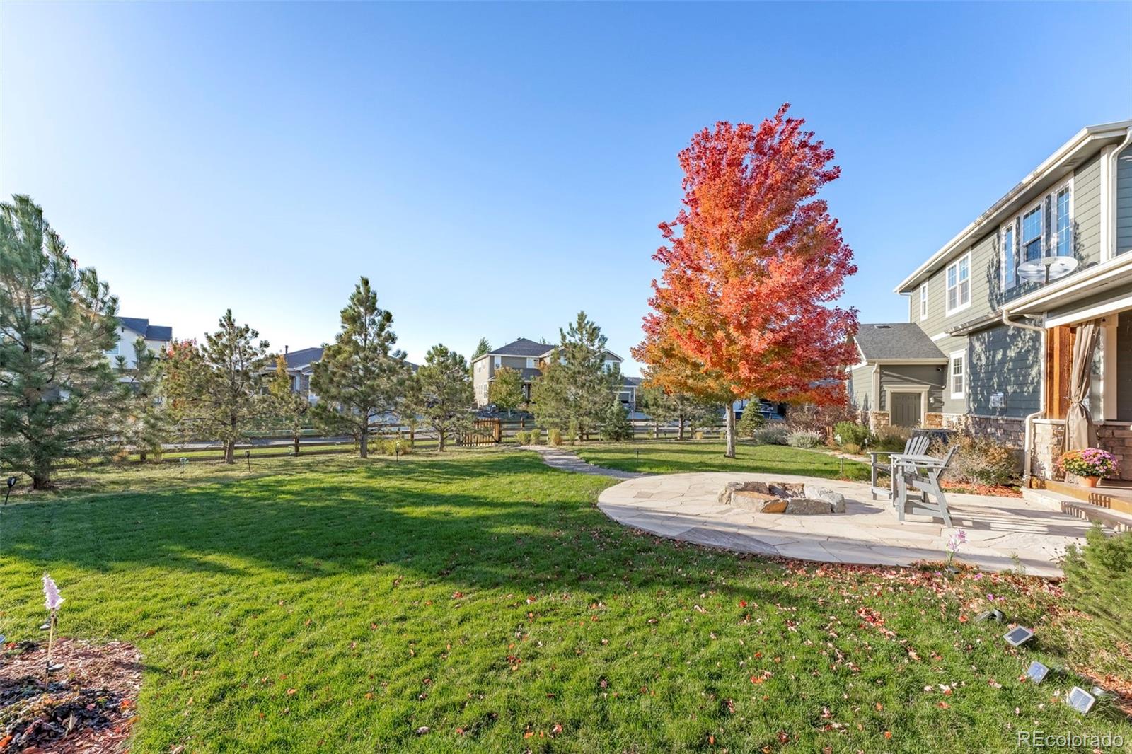 MLS Image #13 for 8946  devinney street,arvada, Colorado