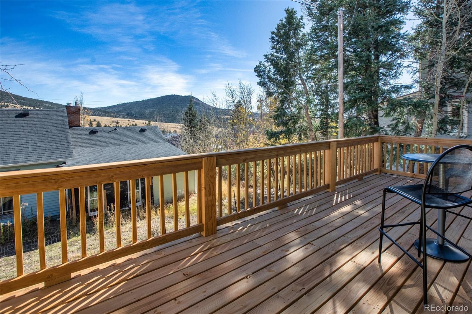 MLS Image #42 for 418  spicer avenue,victor, Colorado