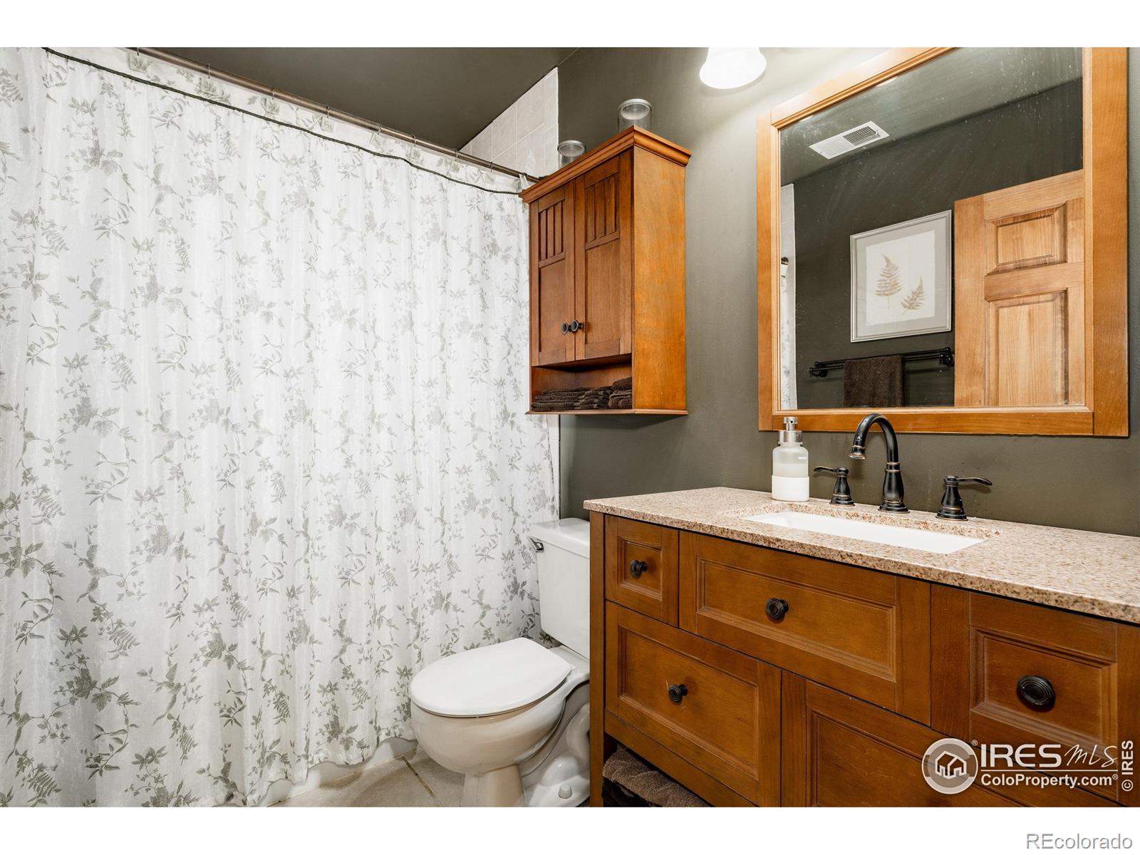 MLS Image #19 for 3711  trouble trail,fort collins, Colorado