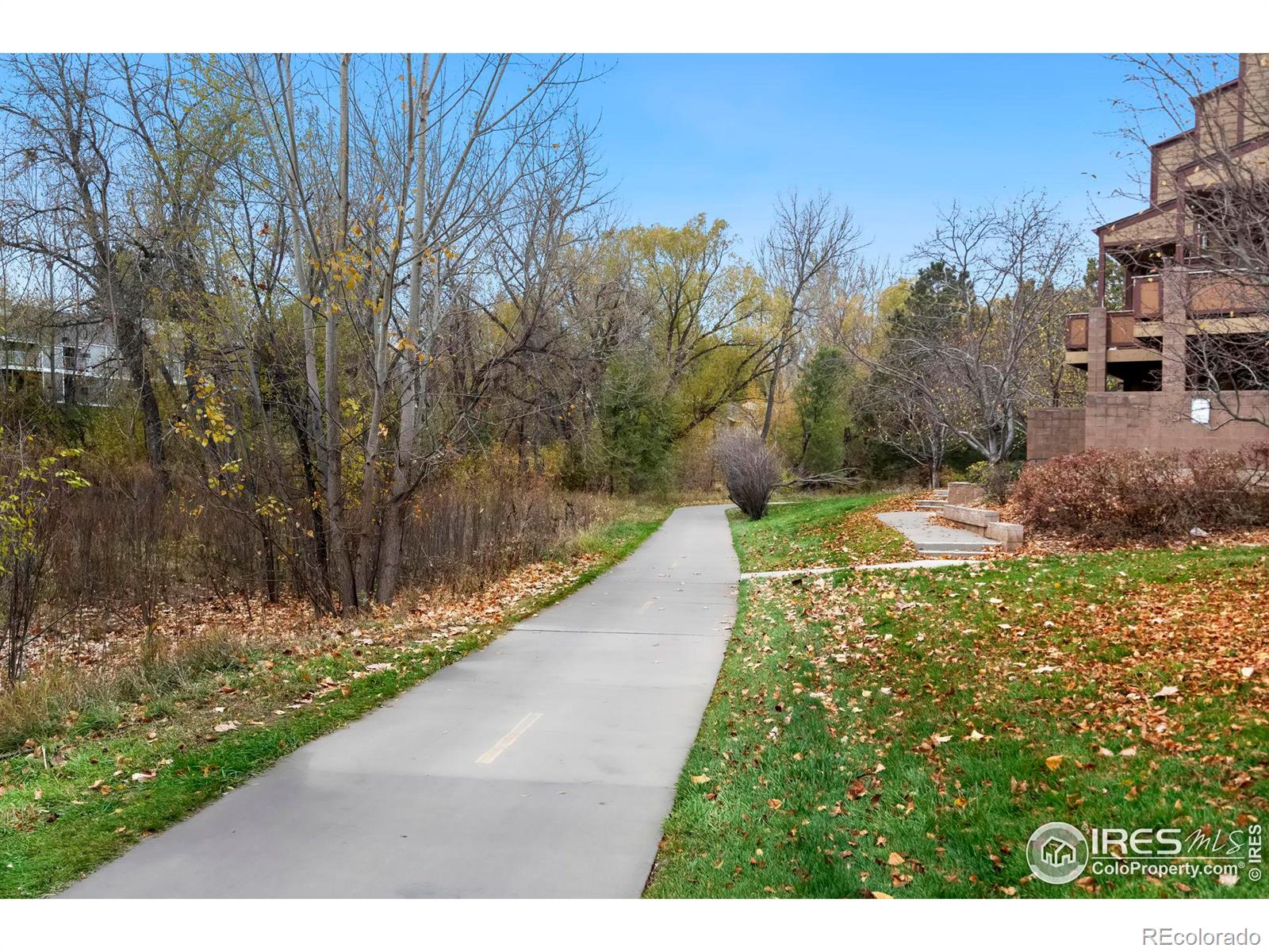 MLS Image #29 for 1221 e prospect road,fort collins, Colorado