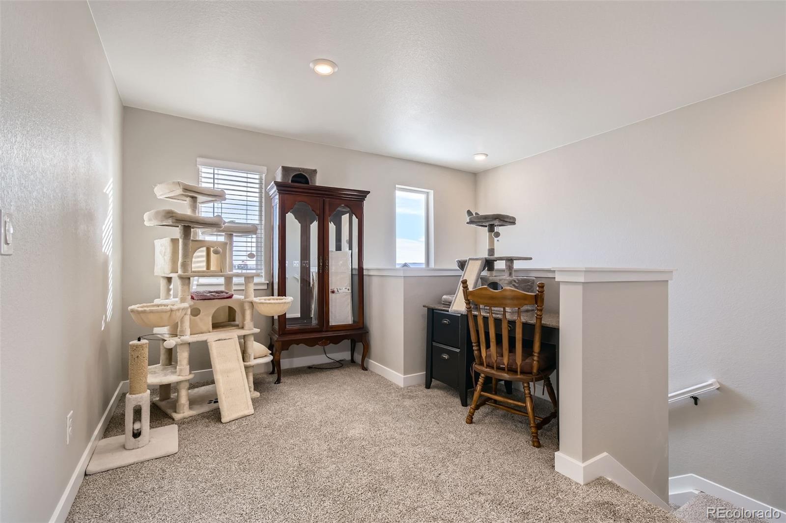 MLS Image #23 for 17847 e 95th avenue,commerce city, Colorado