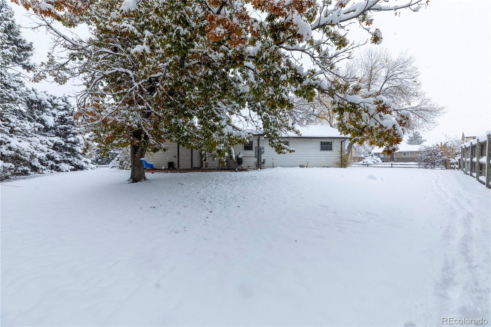 MLS Image #6 for 1237  ouray street,aurora, Colorado