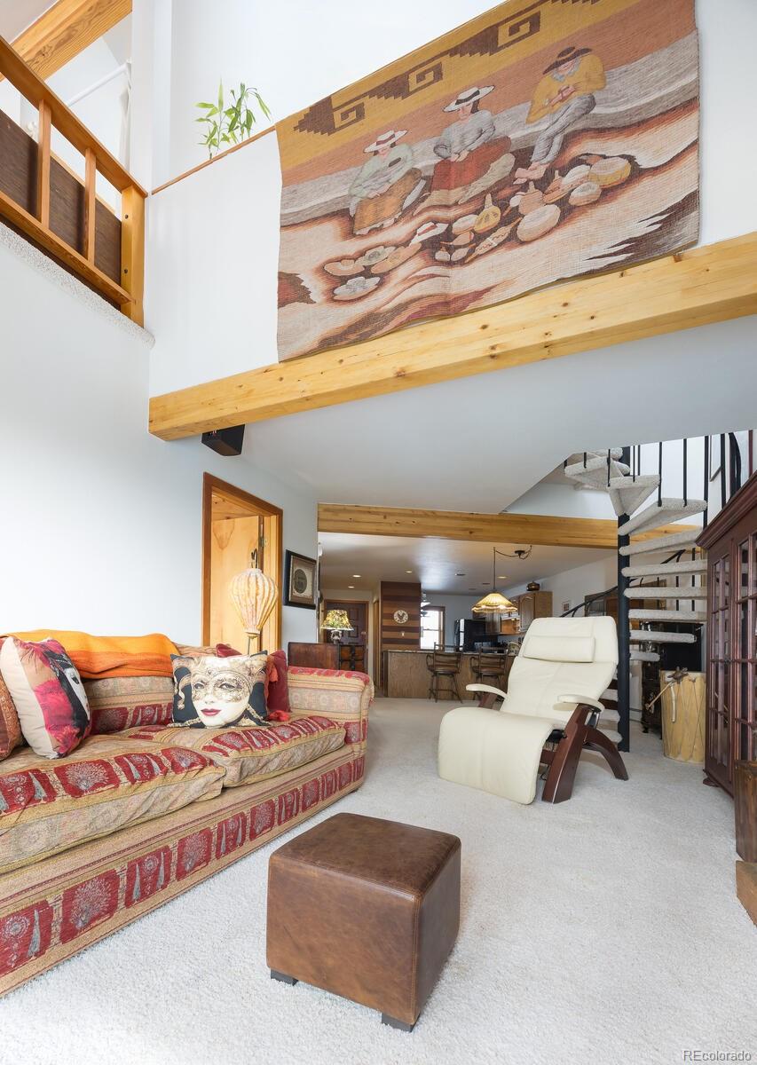 MLS Image #20 for 9430  ryan gulch road,silverthorne, Colorado