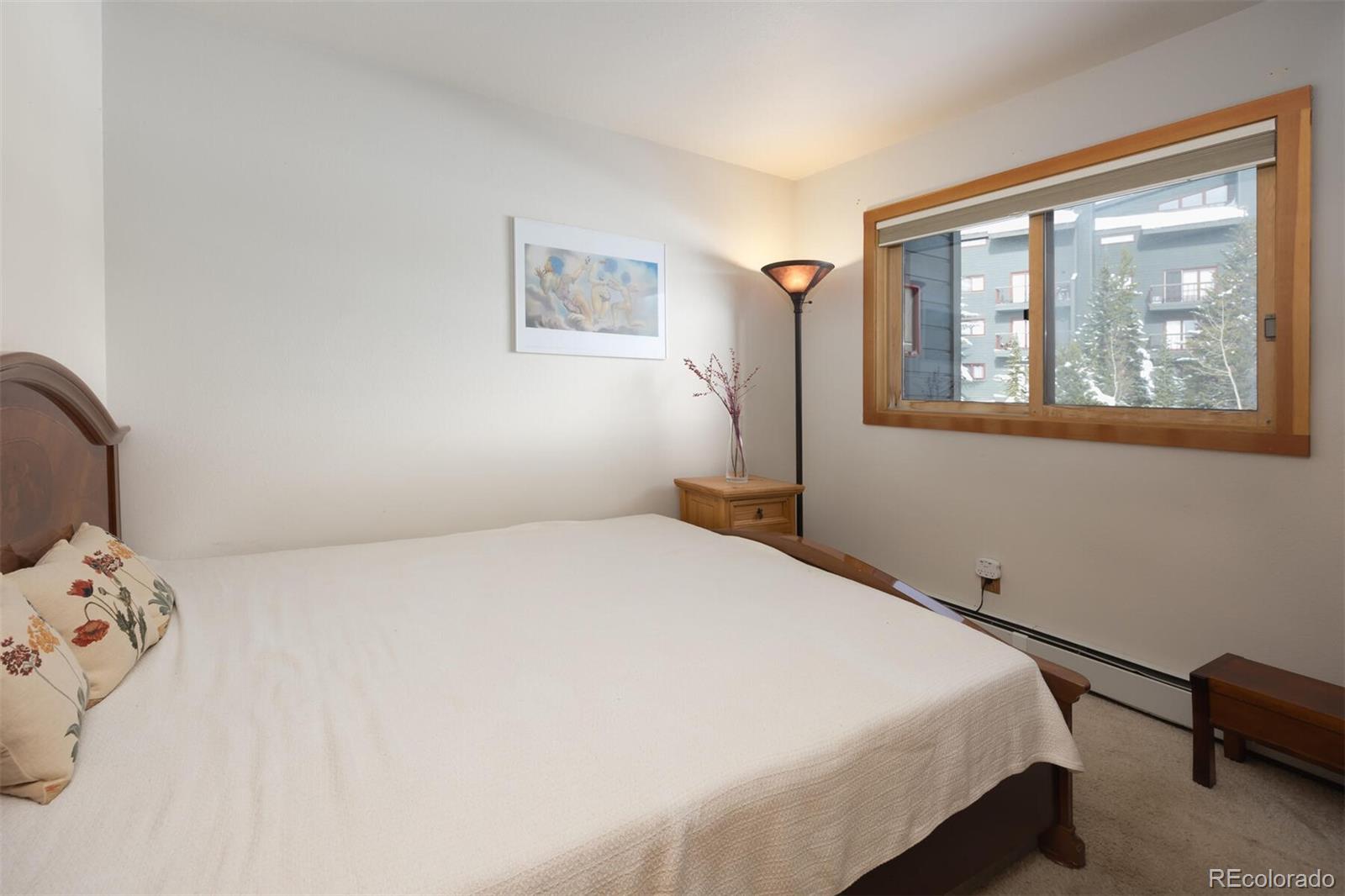 MLS Image #29 for 9430  ryan gulch road,silverthorne, Colorado