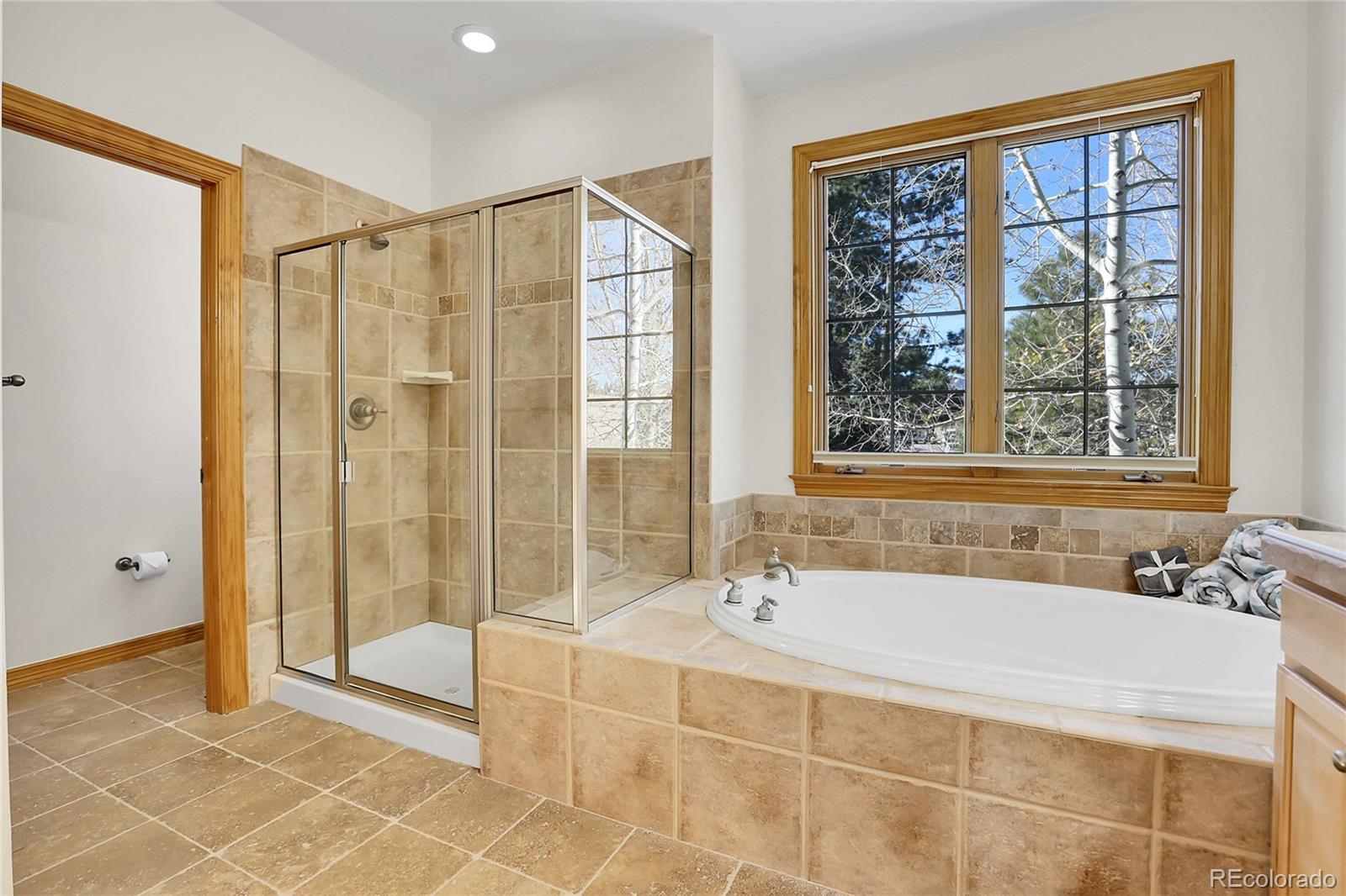 MLS Image #25 for 1294  red lodge drive,evergreen, Colorado