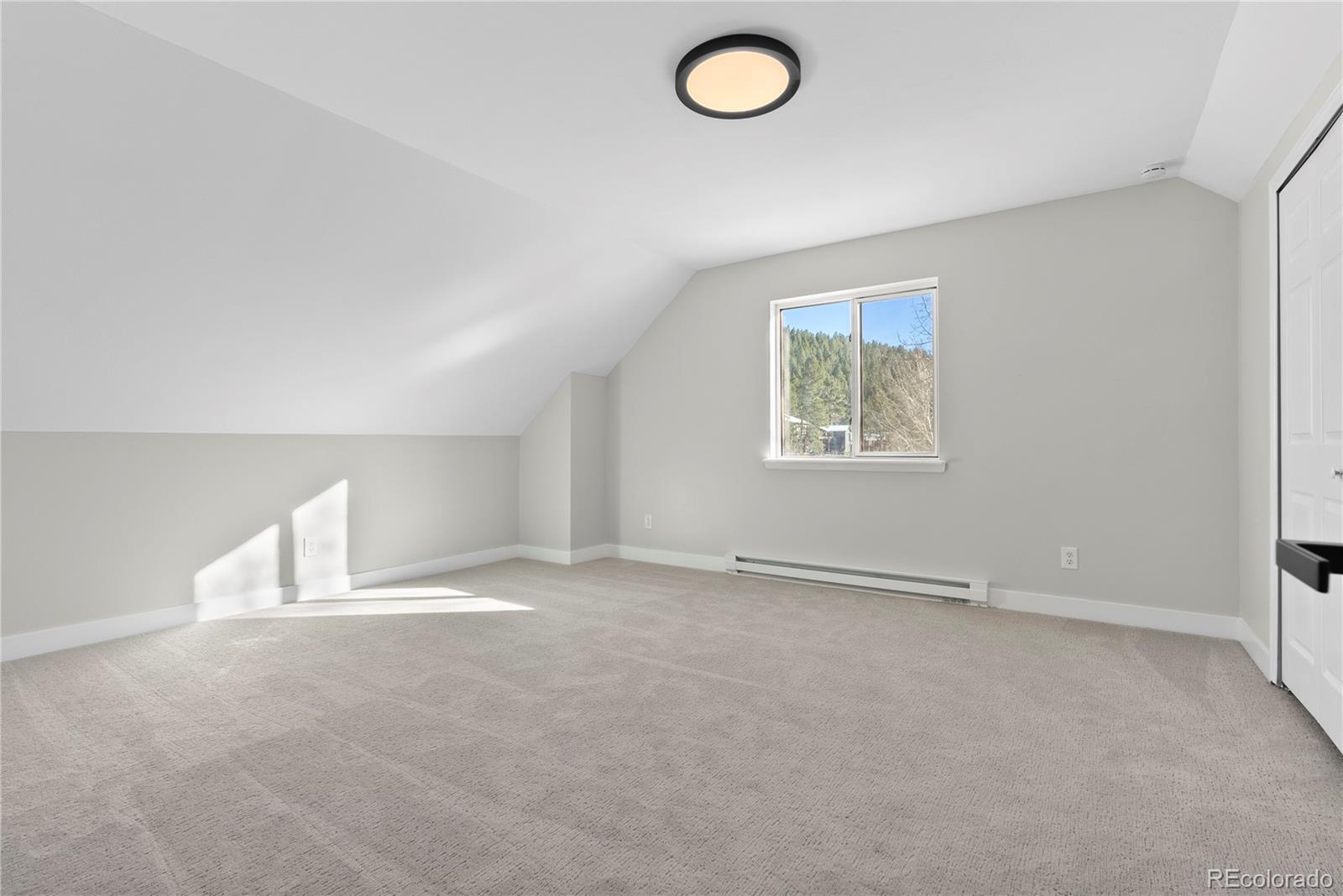 MLS Image #21 for 81  silver springs road,bailey, Colorado