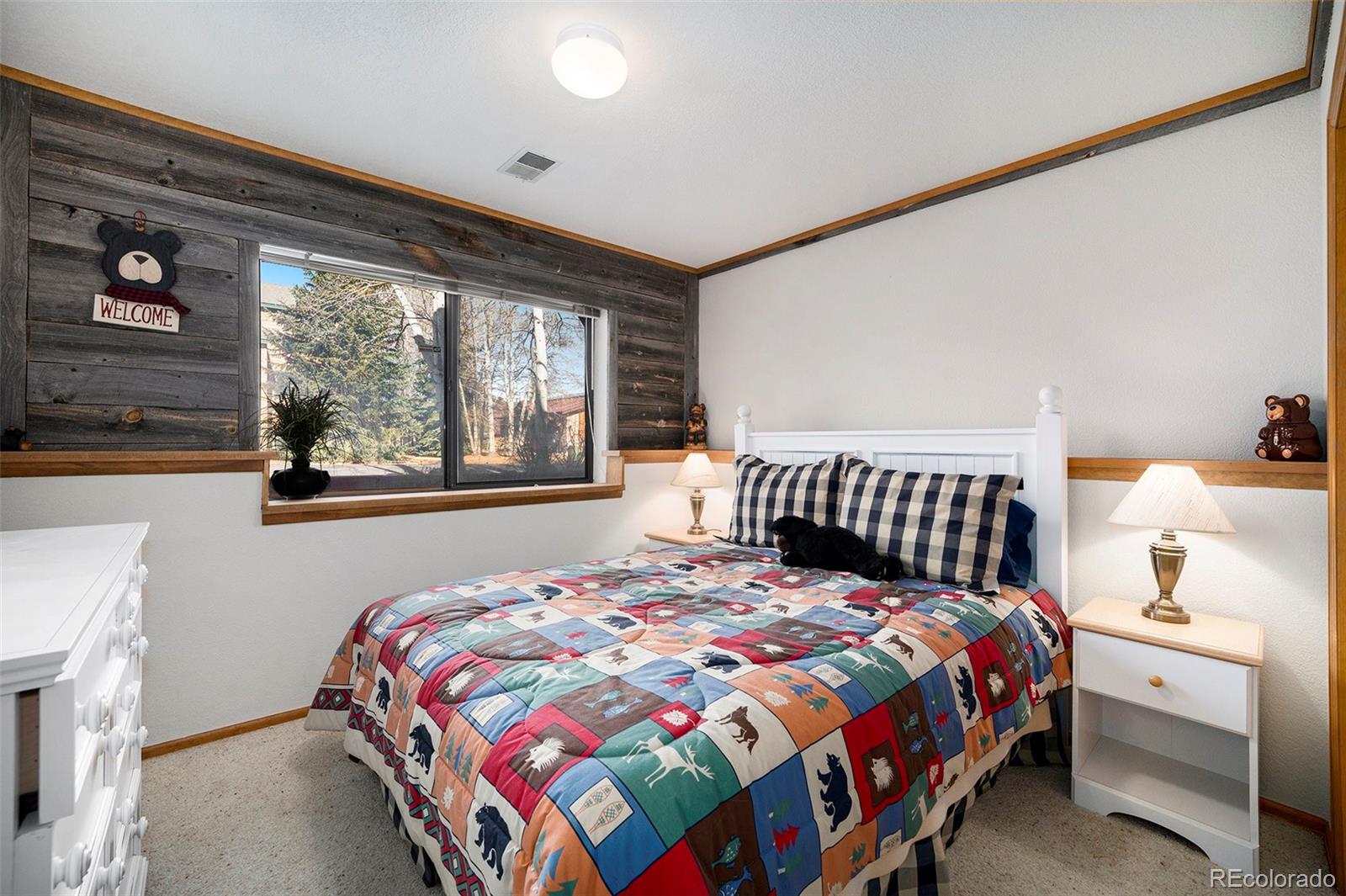 MLS Image #15 for 740 s 5th avenue,frisco, Colorado