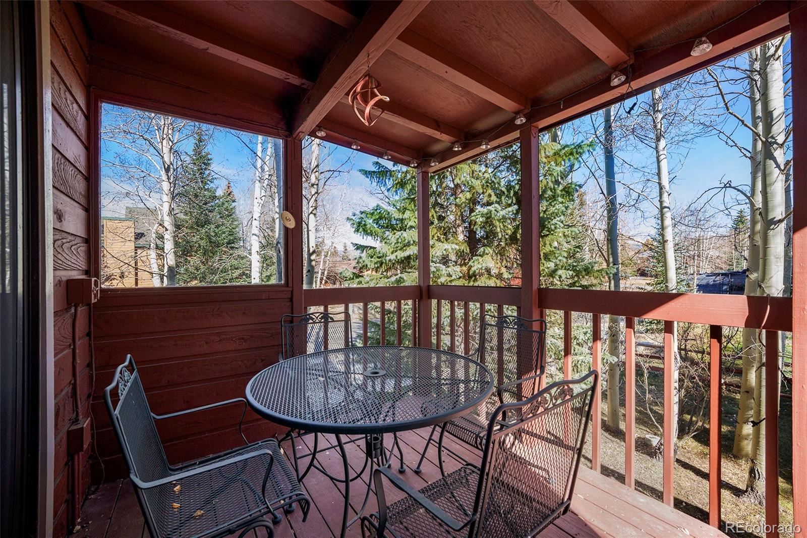 MLS Image #17 for 740 s 5th avenue,frisco, Colorado