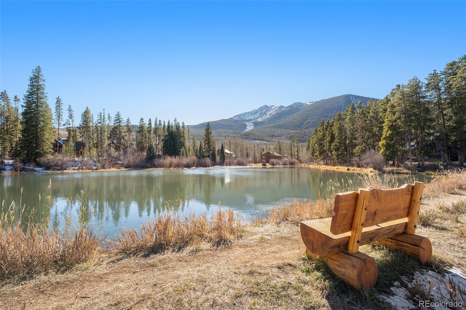 MLS Image #29 for 740 s 5th avenue,frisco, Colorado