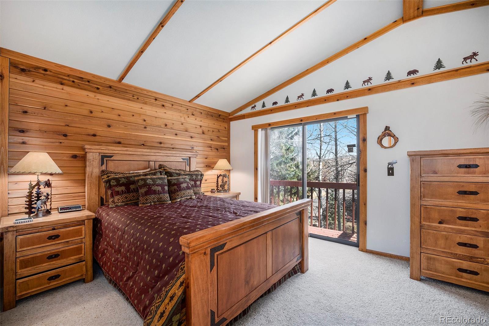 MLS Image #6 for 740 s 5th avenue,frisco, Colorado