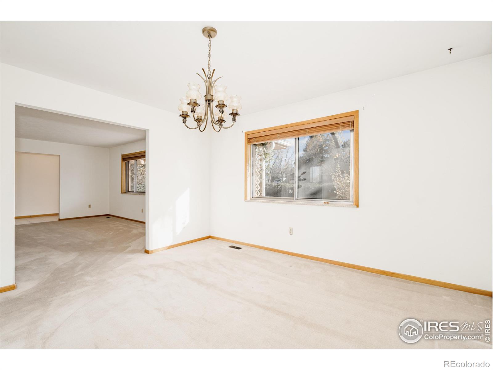 MLS Image #14 for 8895  morton road,niwot, Colorado