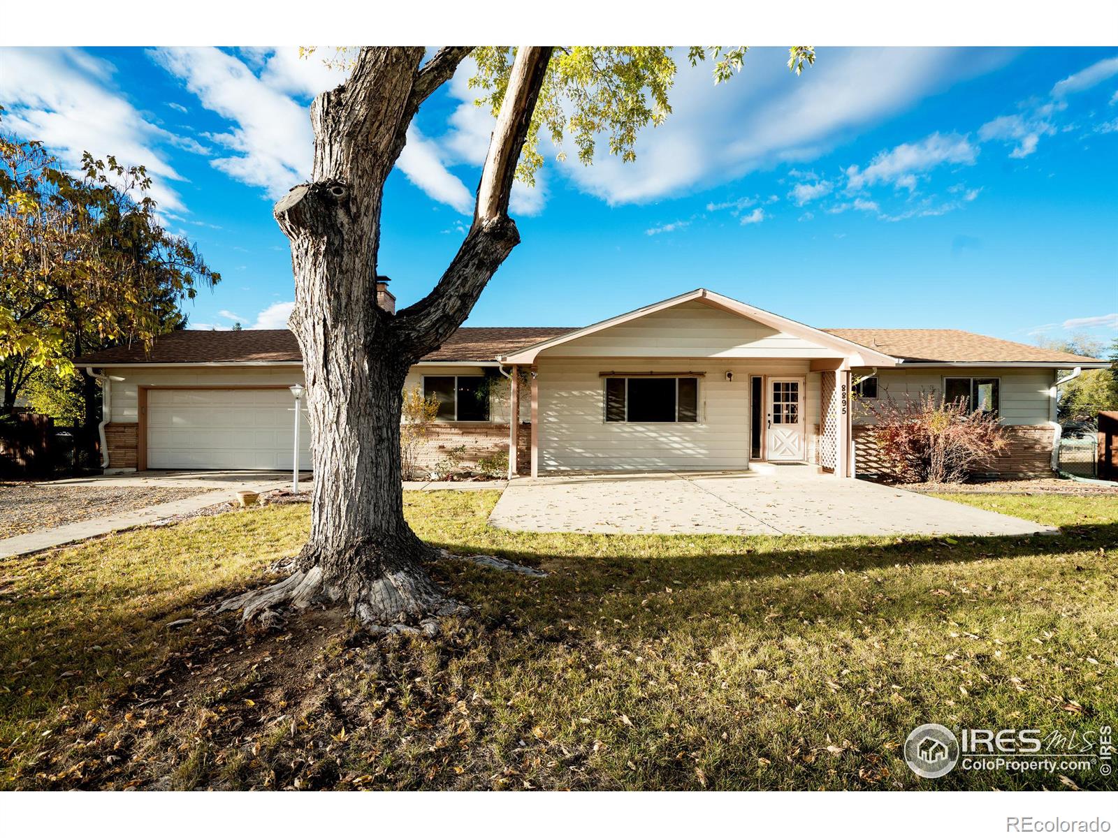 MLS Image #3 for 8895  morton road,niwot, Colorado