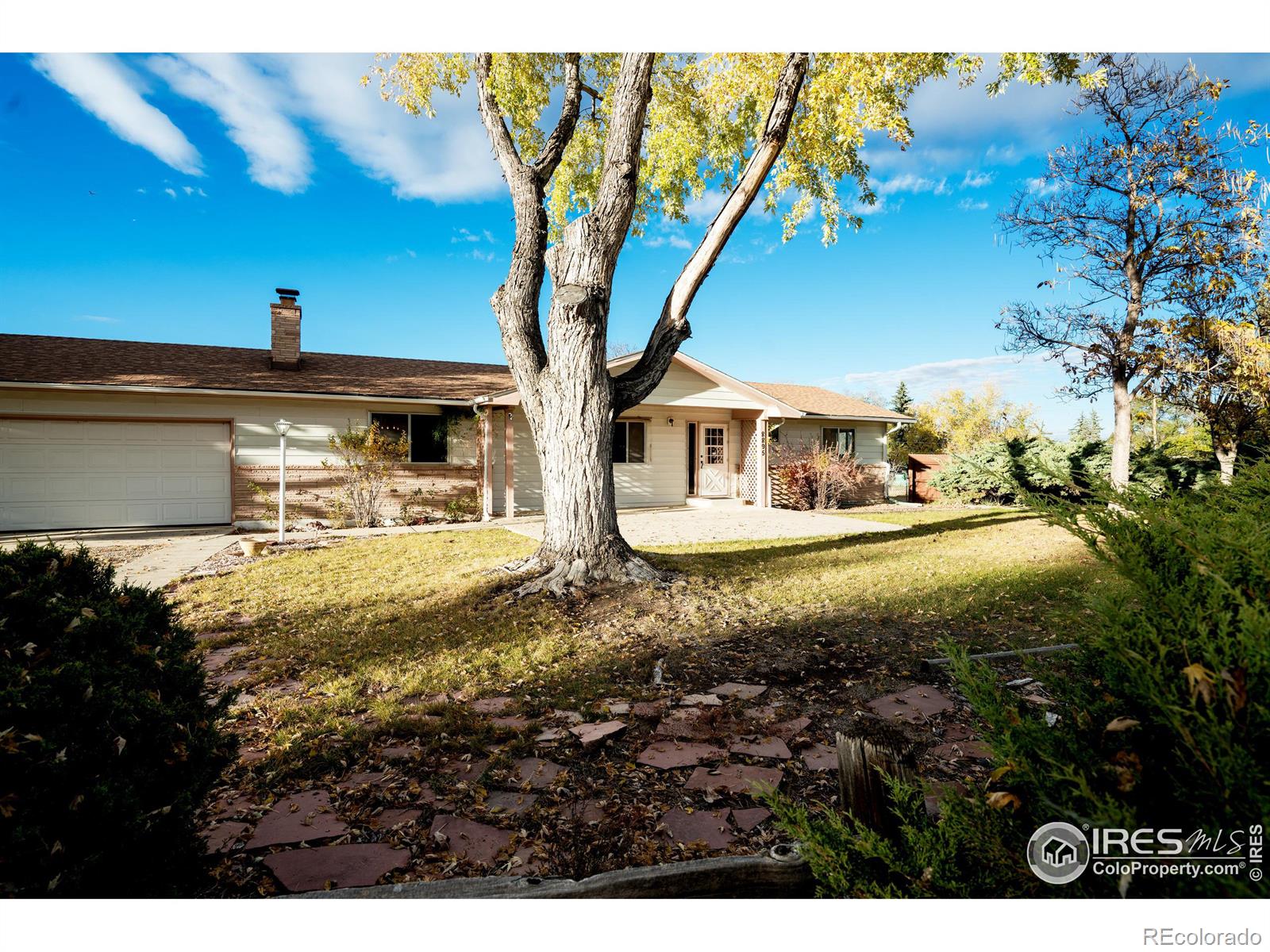 MLS Image #4 for 8895  morton road,niwot, Colorado