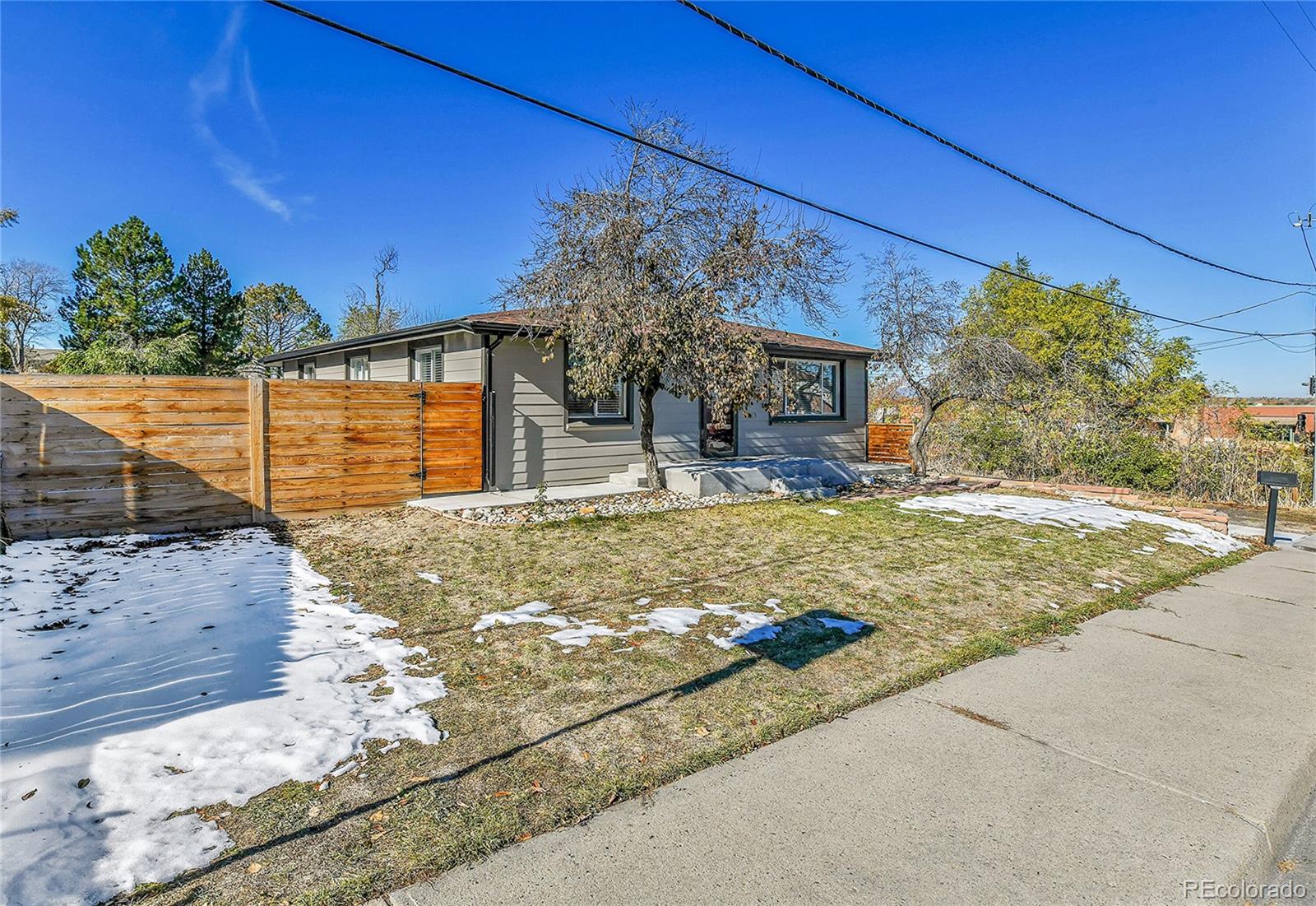 MLS Image #3 for 305 s carr street,lakewood, Colorado