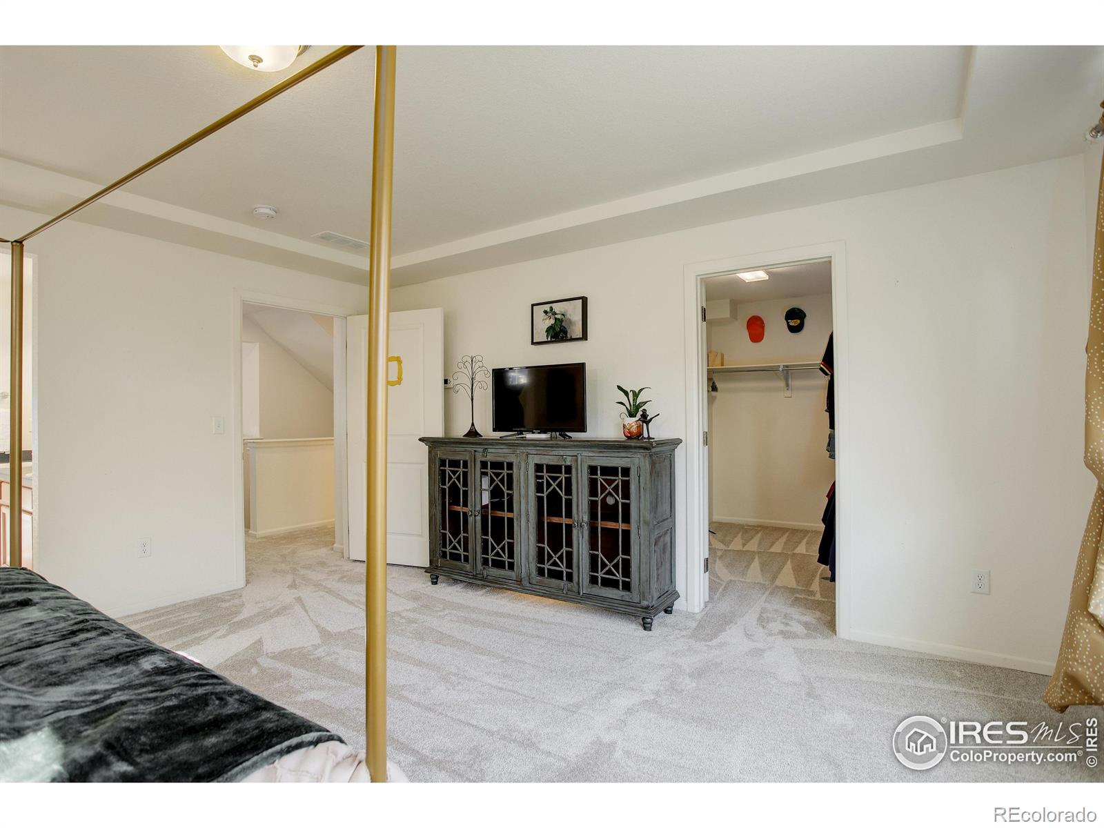 MLS Image #8 for 185  pipit lake way,erie, Colorado