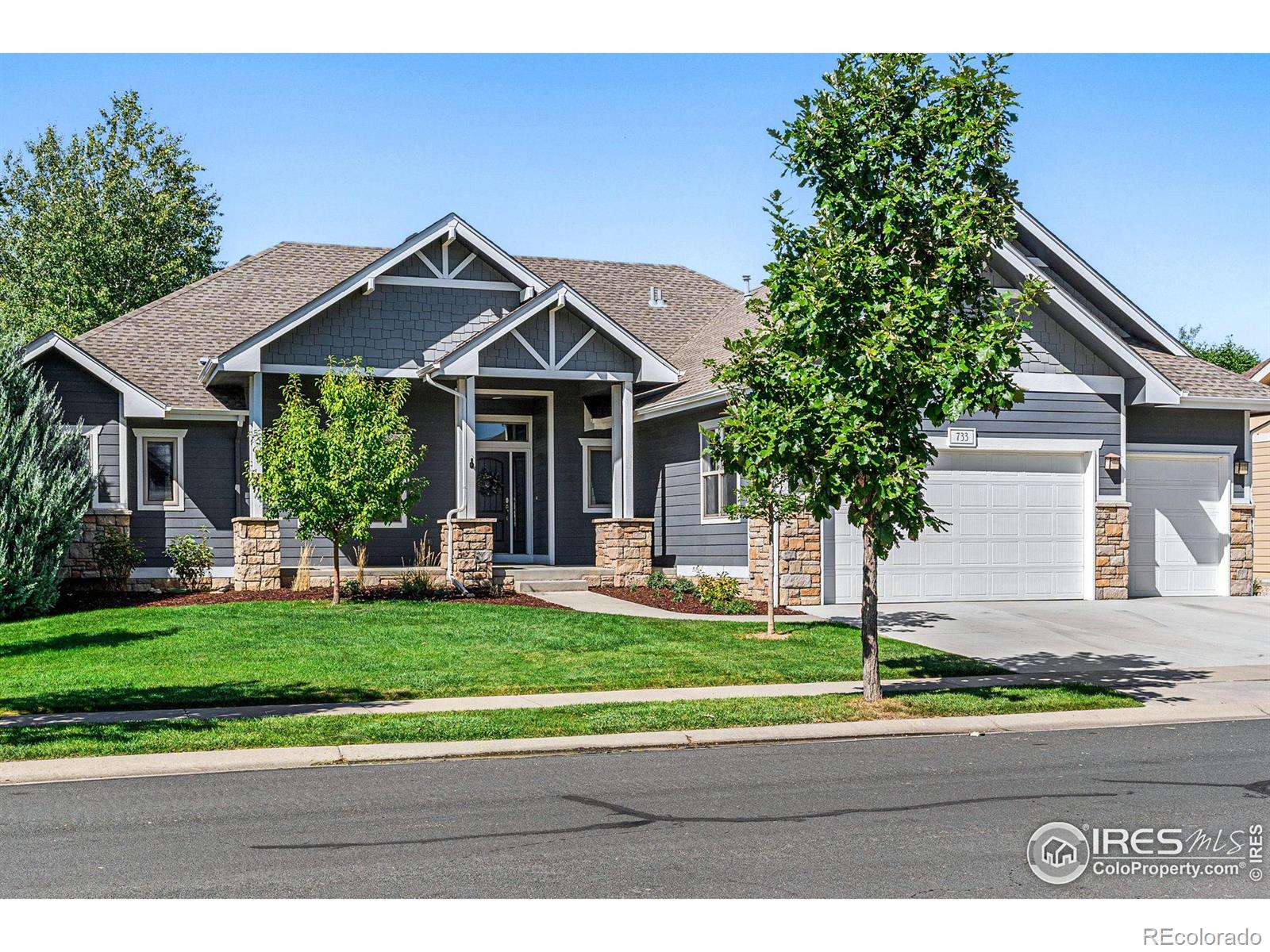 MLS Image #1 for 733  la cruz drive,fort collins, Colorado