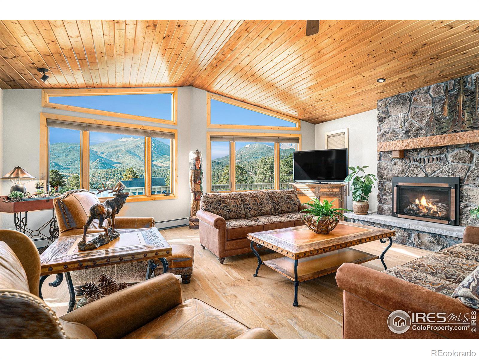 MLS Image #6 for 1724  dekker circle,estes park, Colorado