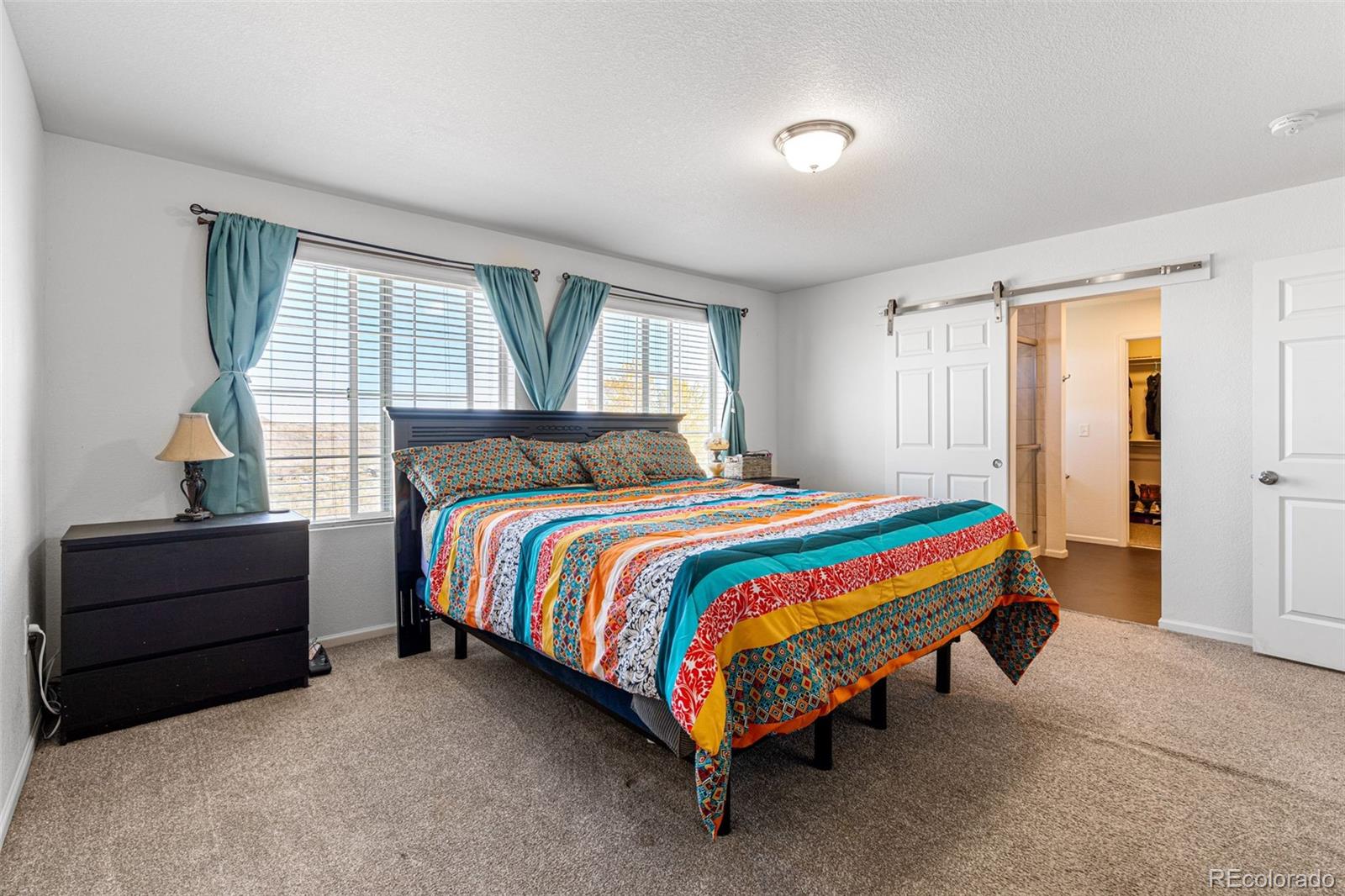 MLS Image #20 for 18109 e 108th place,commerce city, Colorado