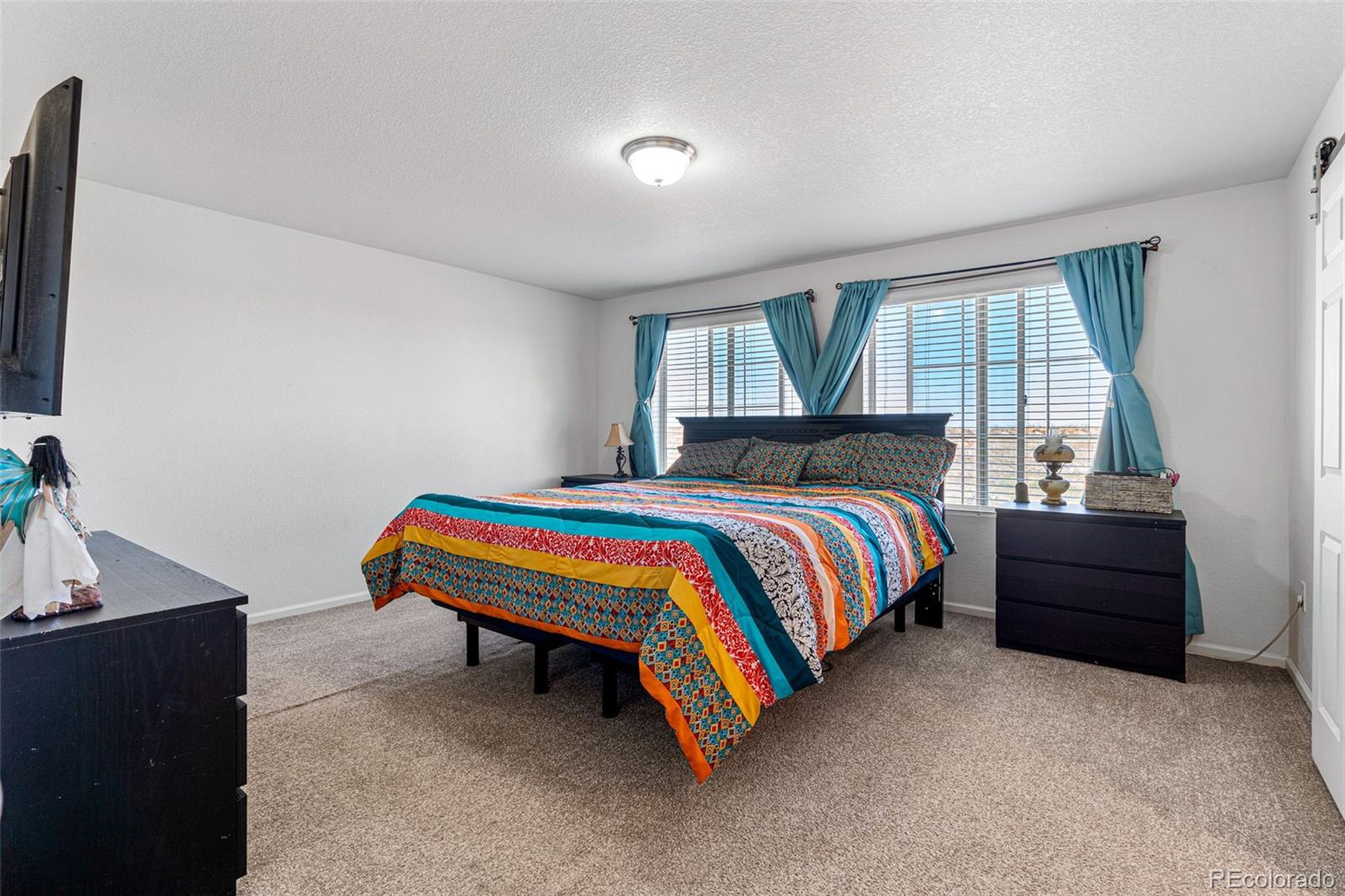 MLS Image #21 for 18109 e 108th place,commerce city, Colorado