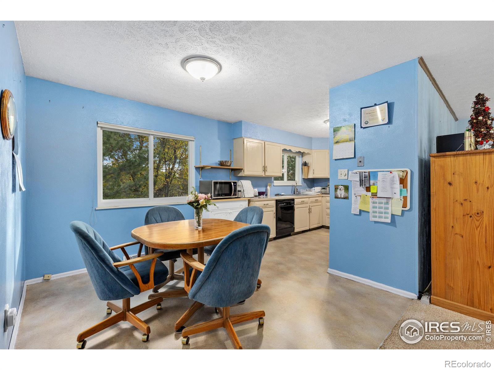 MLS Image #7 for 3721  columbia drive,longmont, Colorado