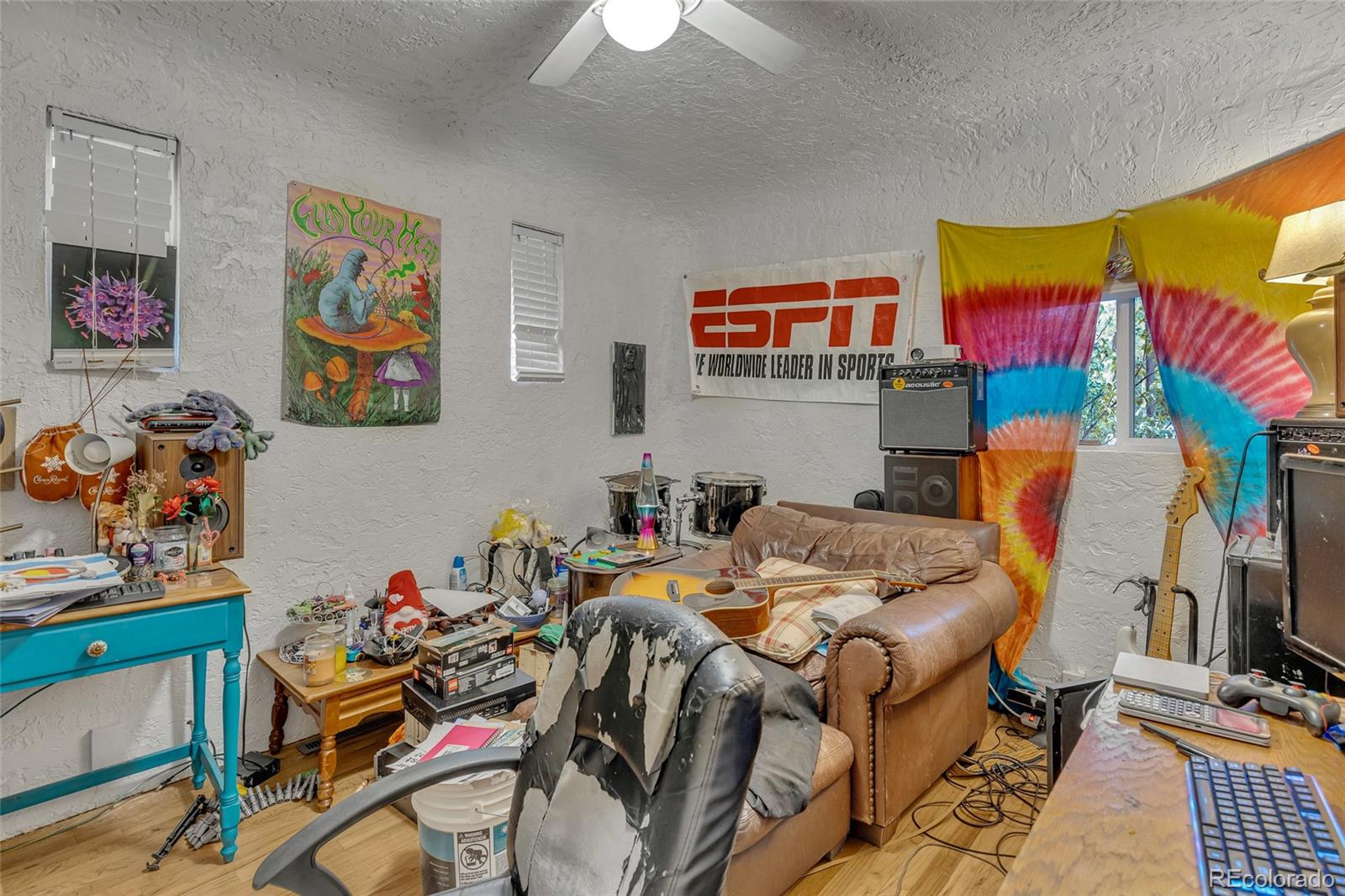 MLS Image #12 for 816 s logan avenue,colorado springs, Colorado