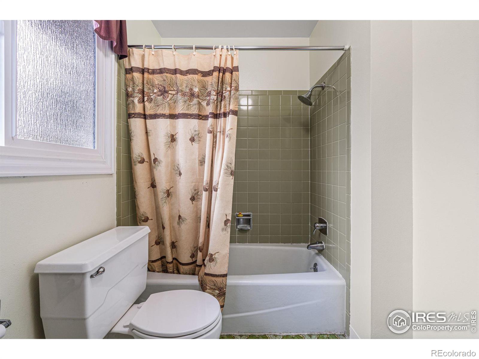 MLS Image #24 for 607  strachan drive,fort collins, Colorado