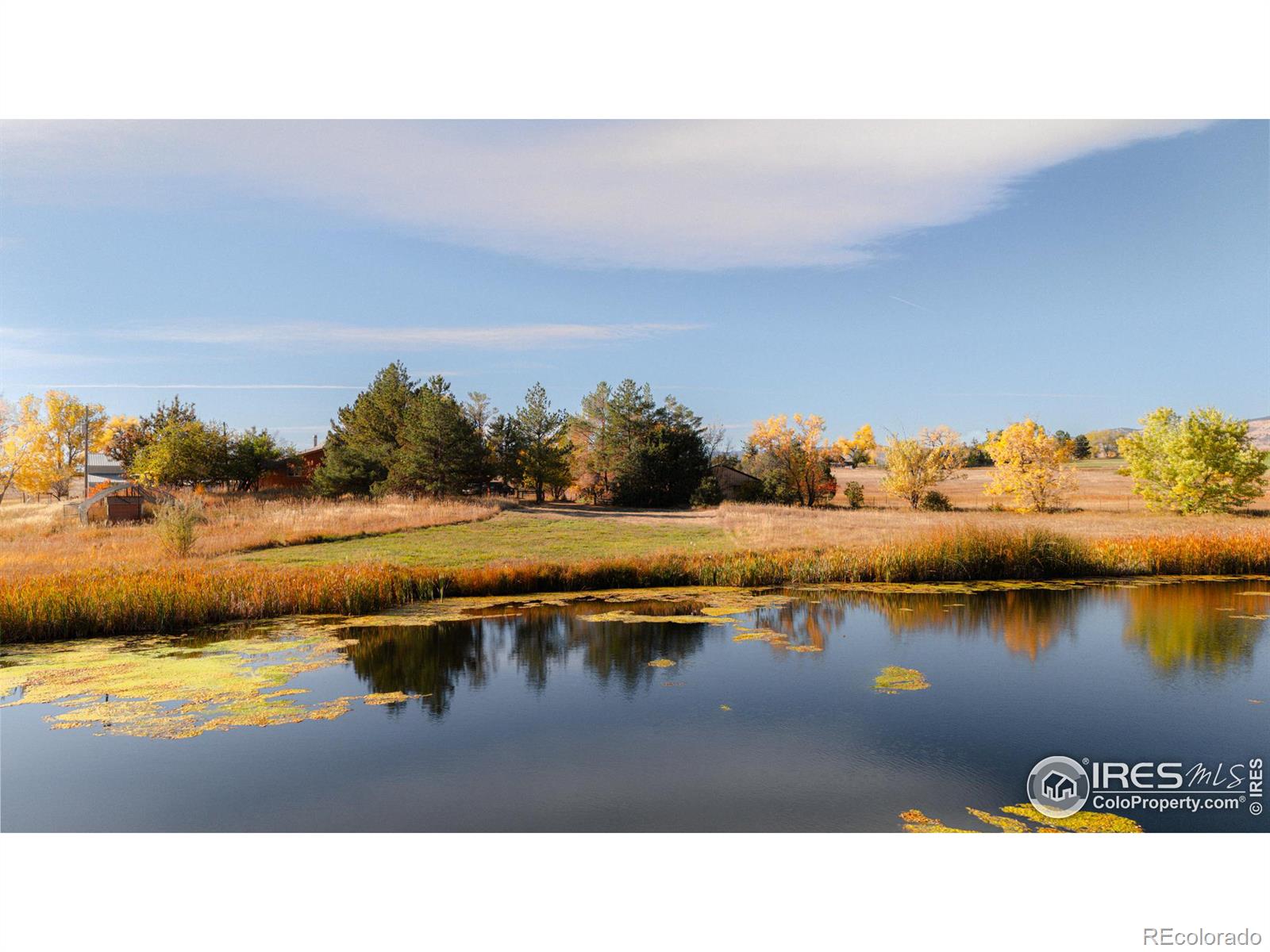 MLS Image #5 for 5196  oxford road,longmont, Colorado