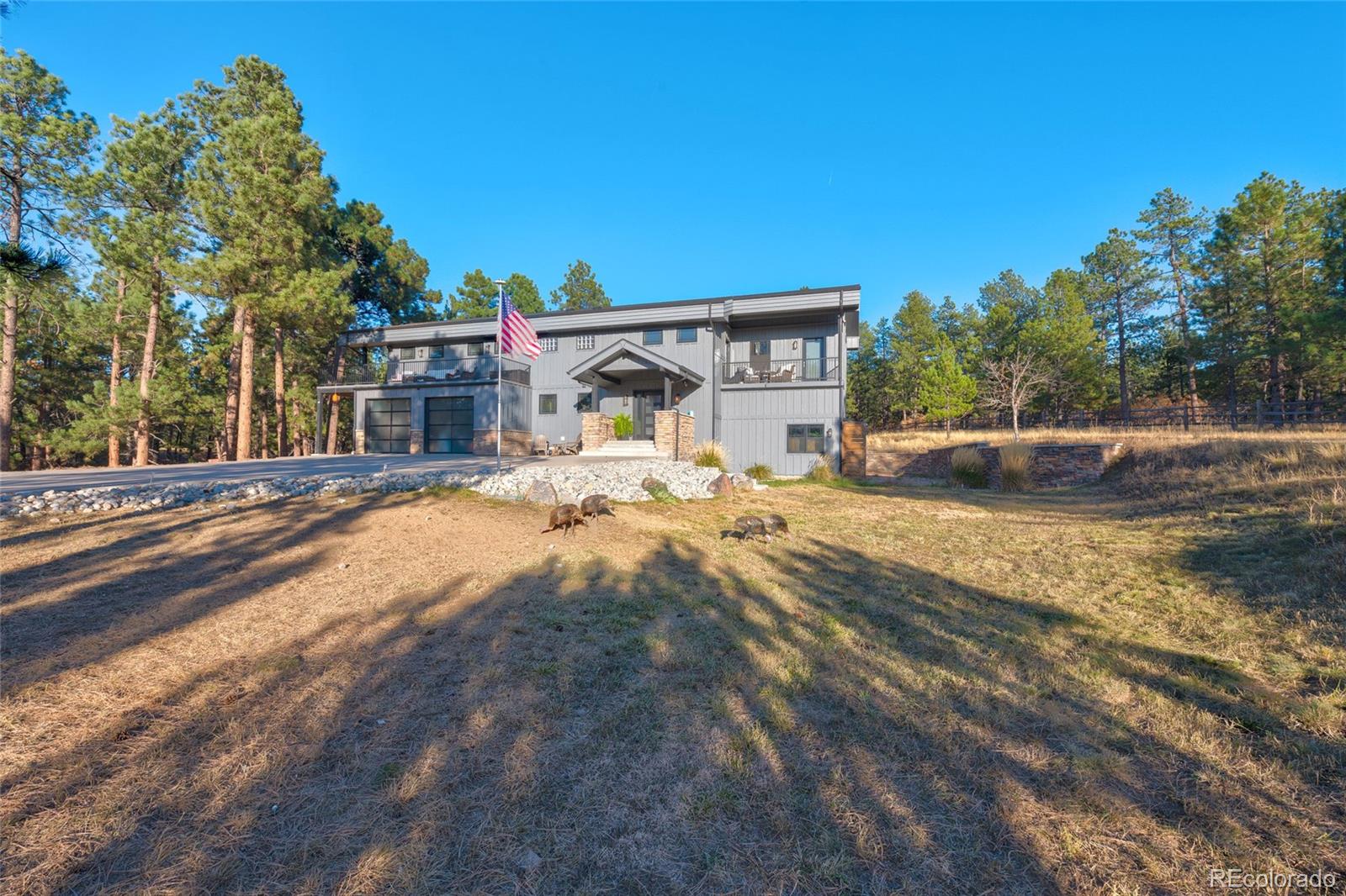 MLS Image #3 for 1580  crystal way,franktown, Colorado