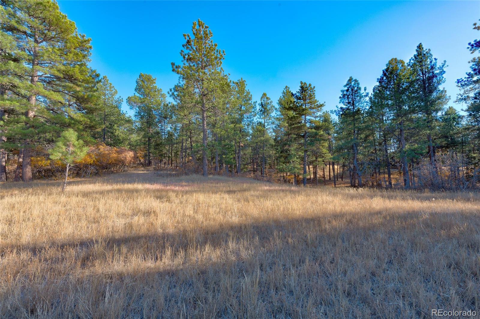 MLS Image #41 for 1580  crystal way,franktown, Colorado