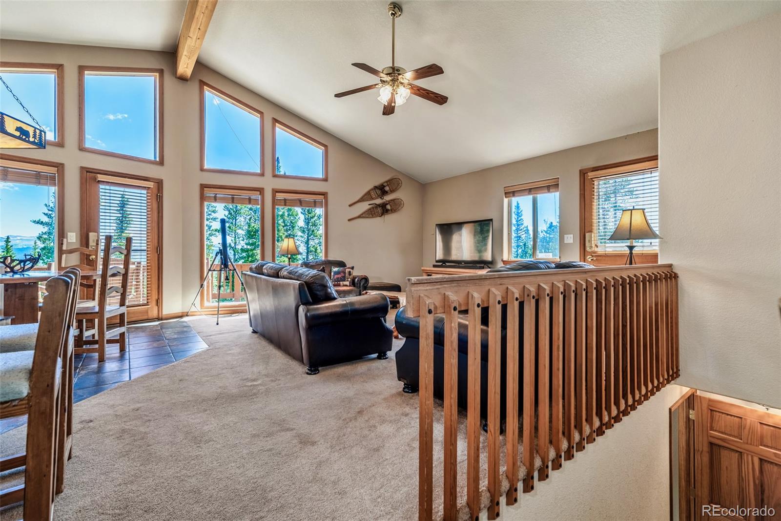 MLS Image #10 for 761  bobcat lane,fairplay, Colorado