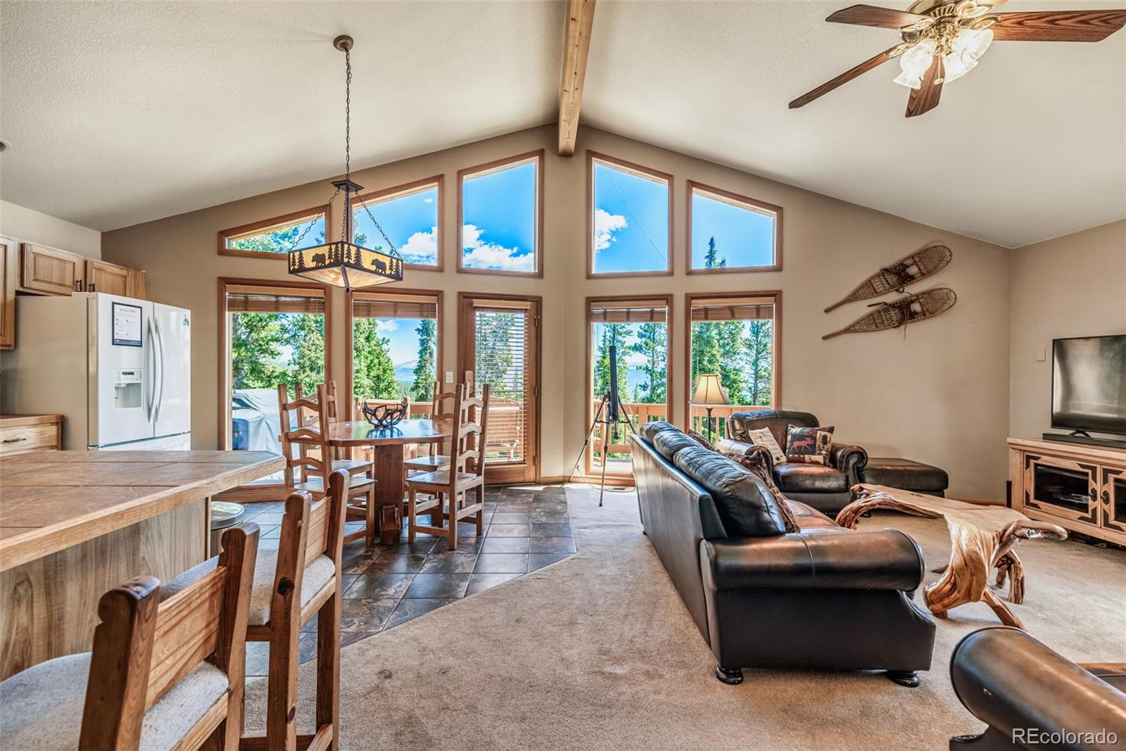 MLS Image #13 for 761  bobcat lane,fairplay, Colorado