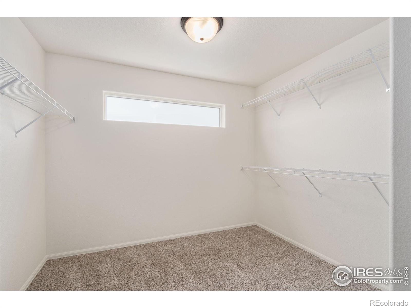 MLS Image #13 for 293  greenville way,windsor, Colorado