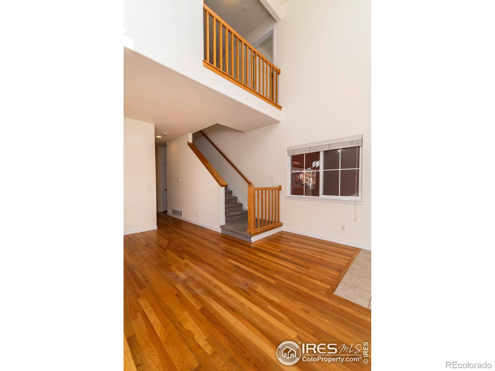 MLS Image #4 for 818 s terry street,longmont, Colorado