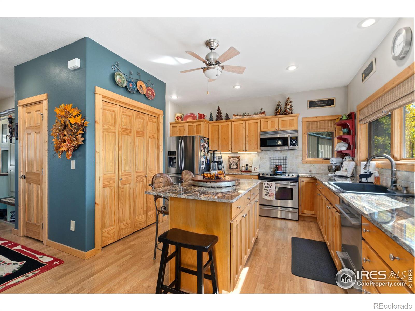 MLS Image #10 for 681  iron mountain drive,livermore, Colorado