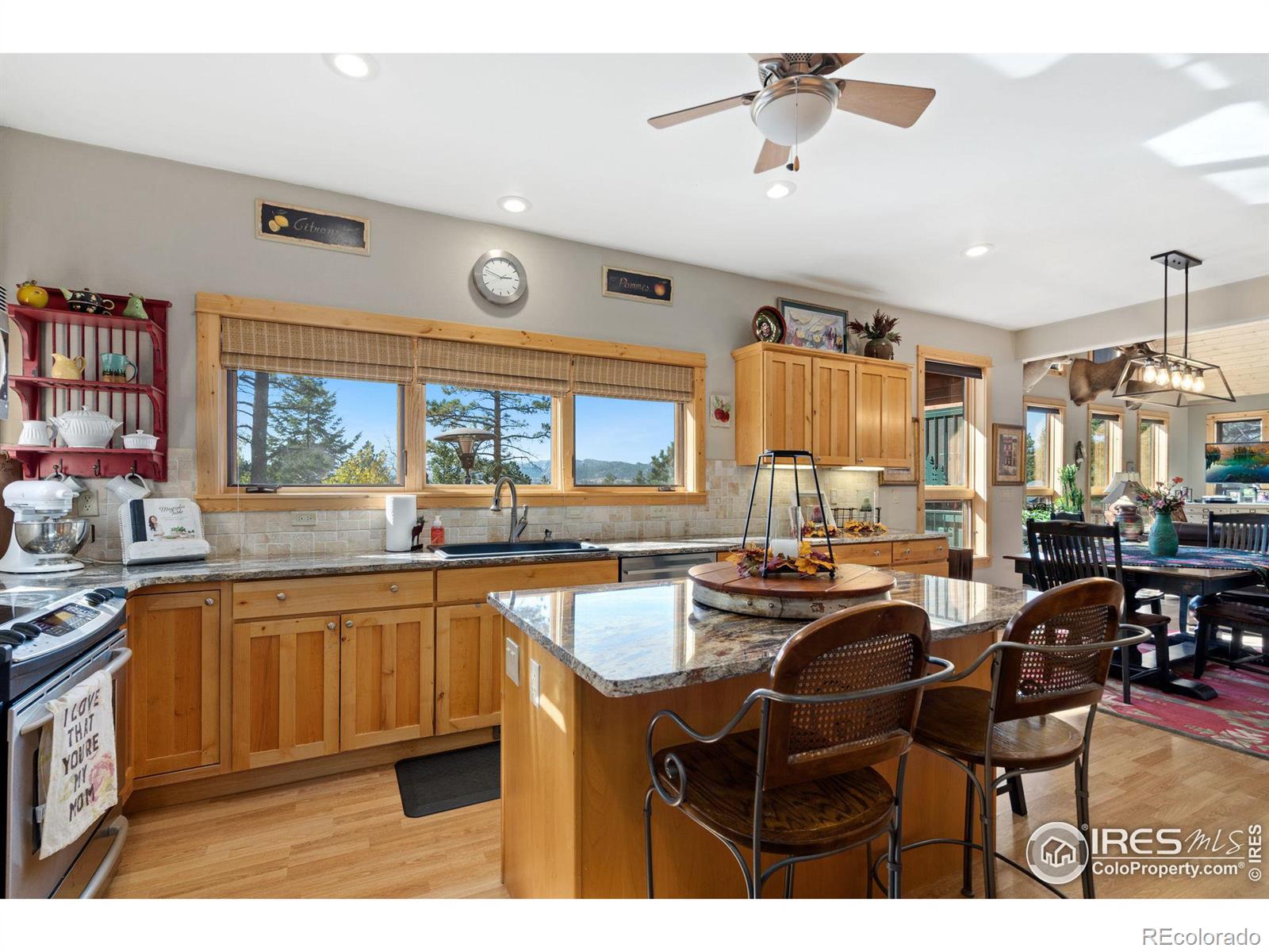 MLS Image #11 for 681  iron mountain drive,livermore, Colorado