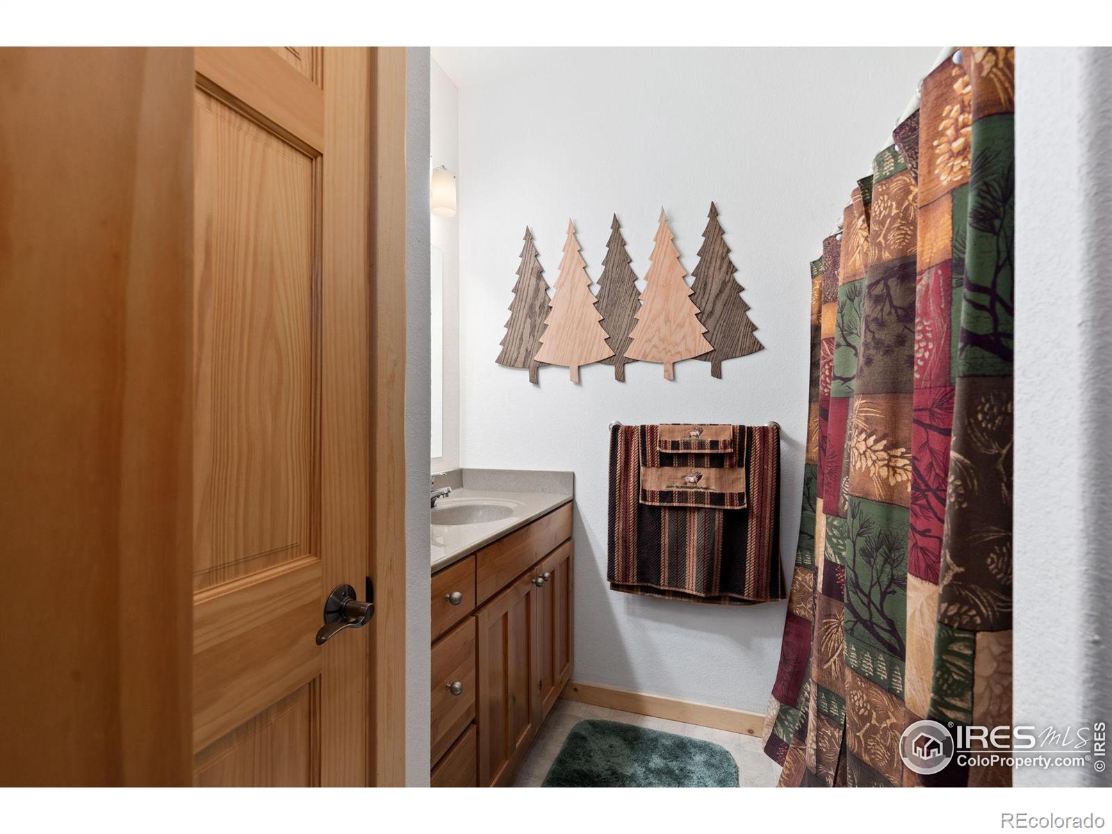 MLS Image #24 for 681  iron mountain drive,livermore, Colorado