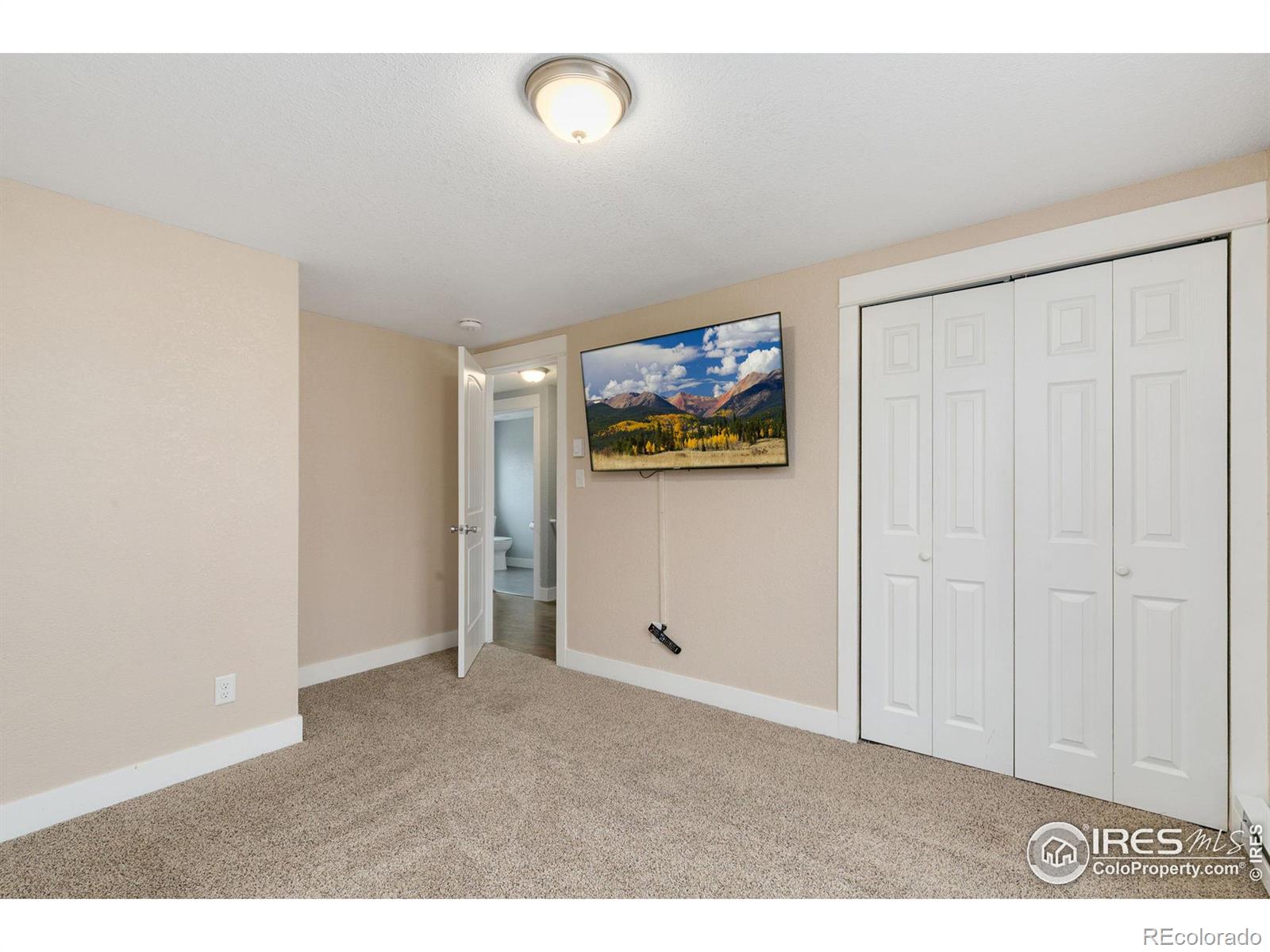 MLS Image #16 for 768  ptarmigan run,loveland, Colorado