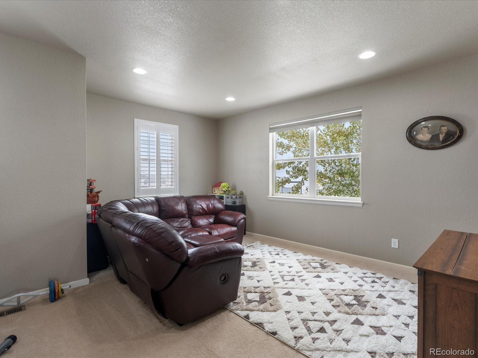 MLS Image #17 for 11663 e 163rd court,brighton, Colorado