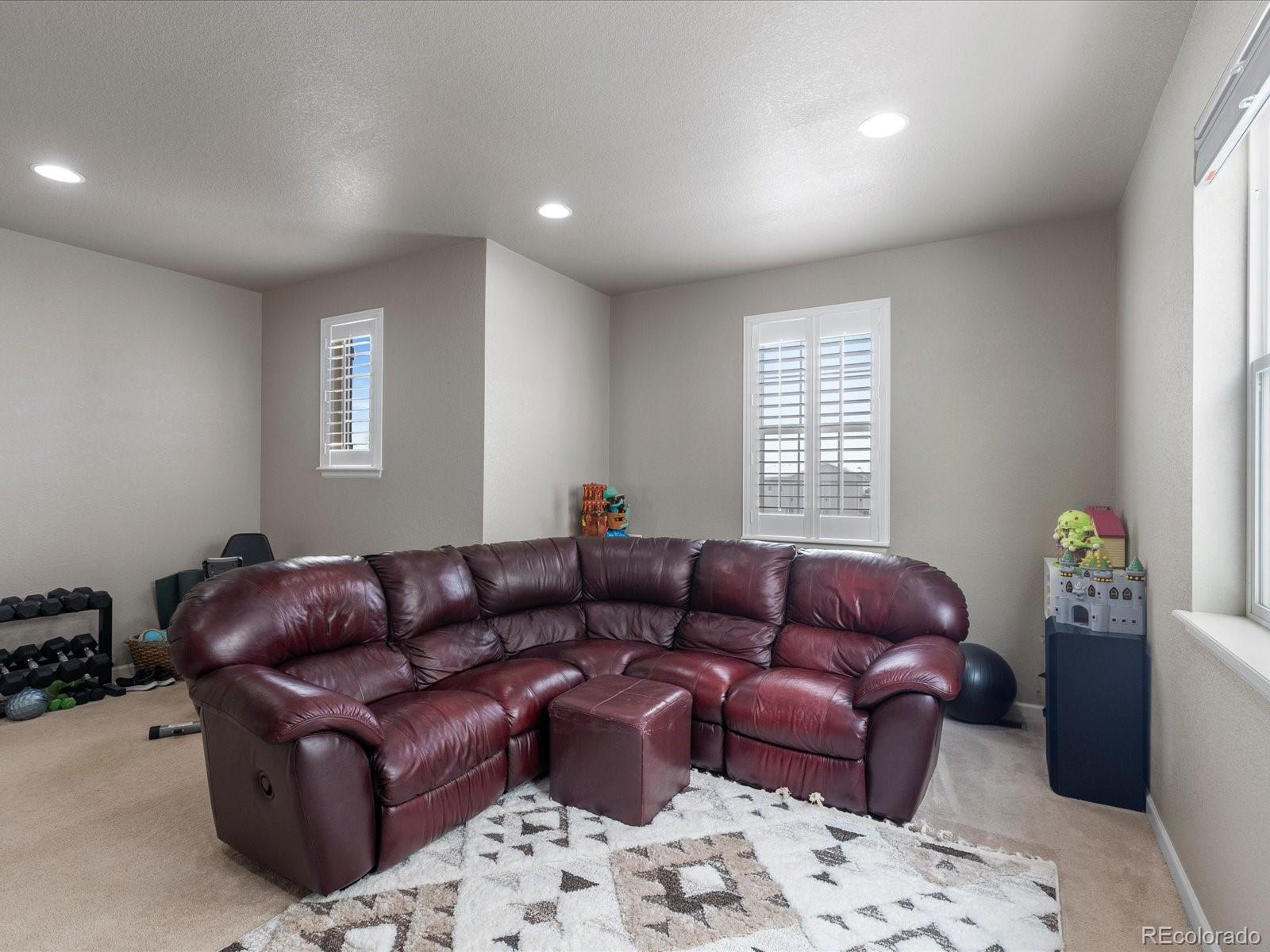 MLS Image #18 for 11663 e 163rd court,brighton, Colorado