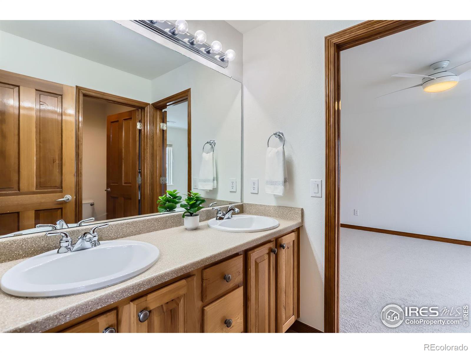 MLS Image #20 for 1404  cannon mountain drive,longmont, Colorado