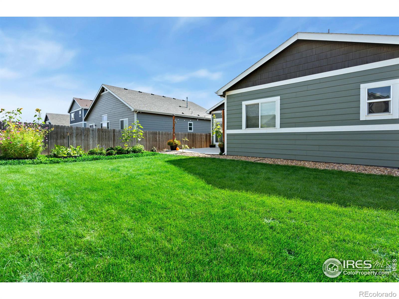 MLS Image #23 for 702  settlers drive,milliken, Colorado