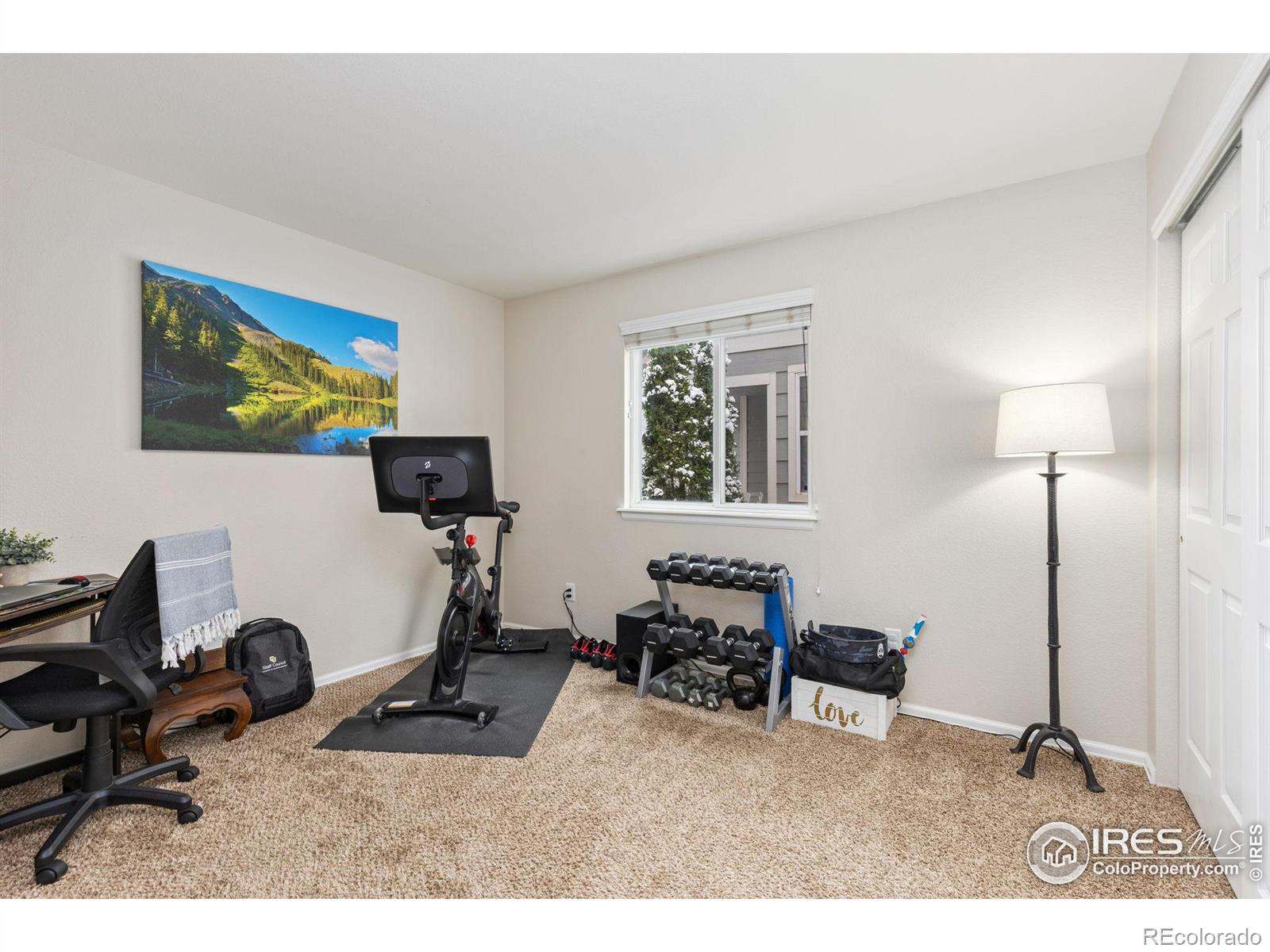 MLS Image #11 for 5714  blue mountain circle,longmont, Colorado