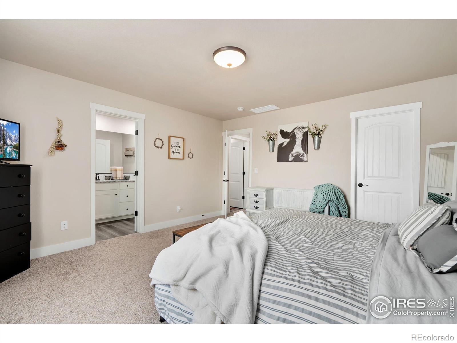 MLS Image #15 for 1760  westward circle,eaton, Colorado