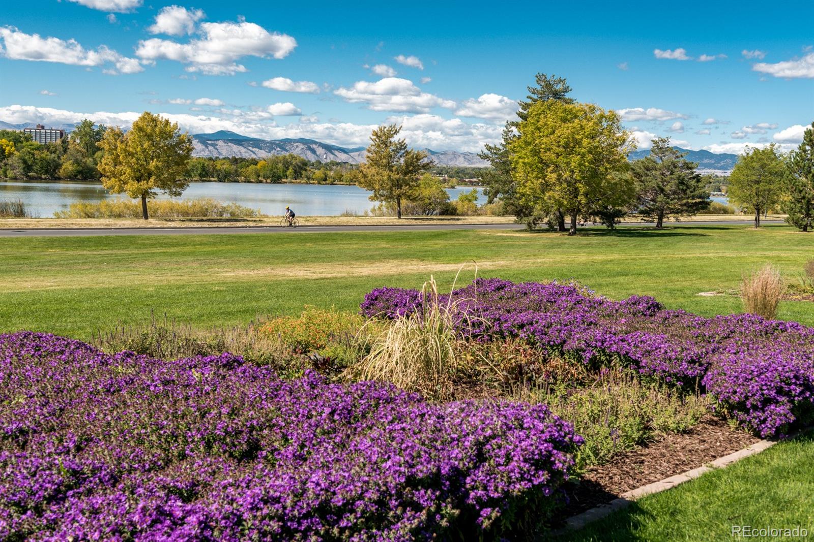 MLS Image #47 for 1930  grove street 2,denver, Colorado