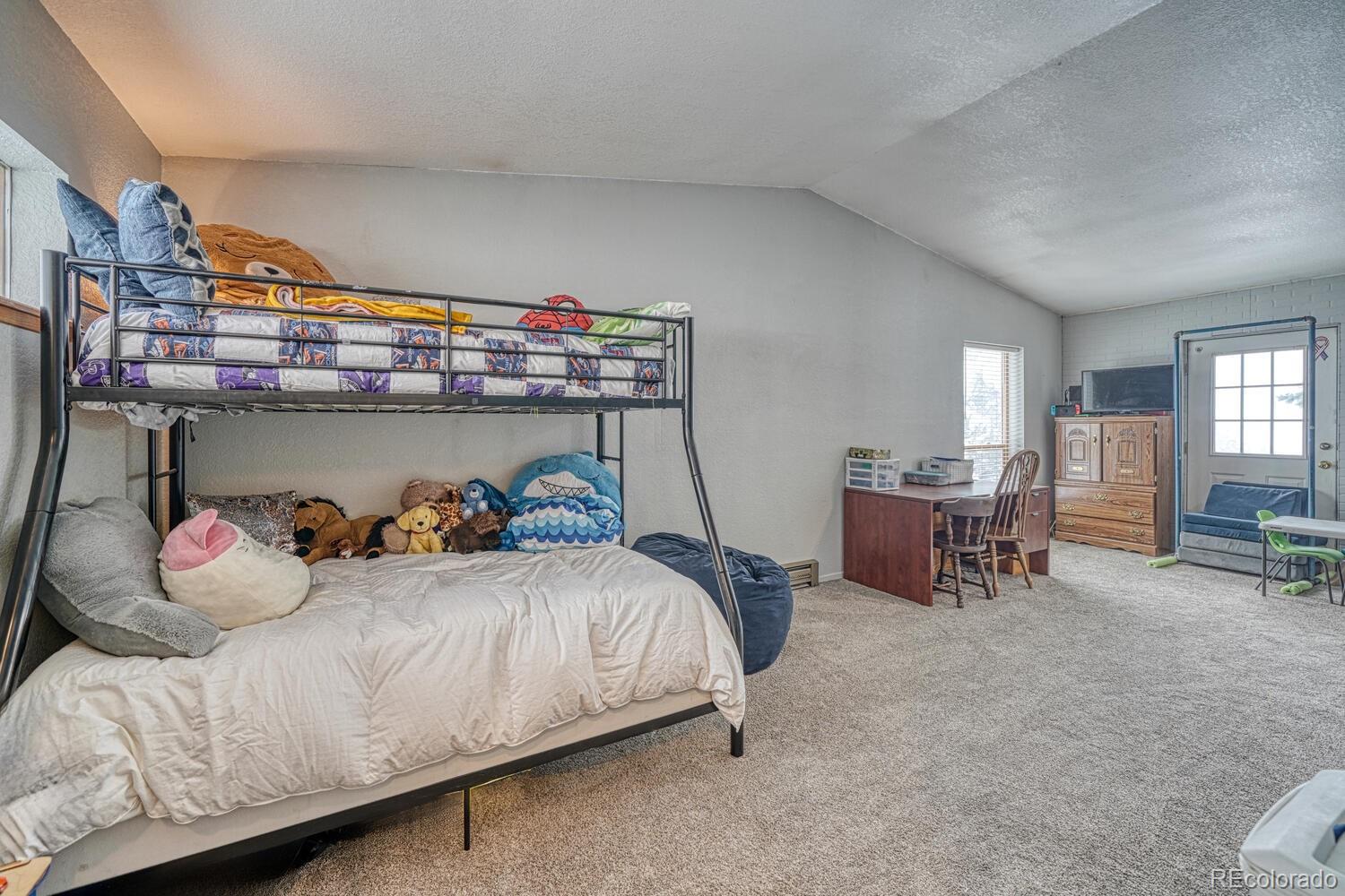 MLS Image #21 for 114  loop drive,howard, Colorado