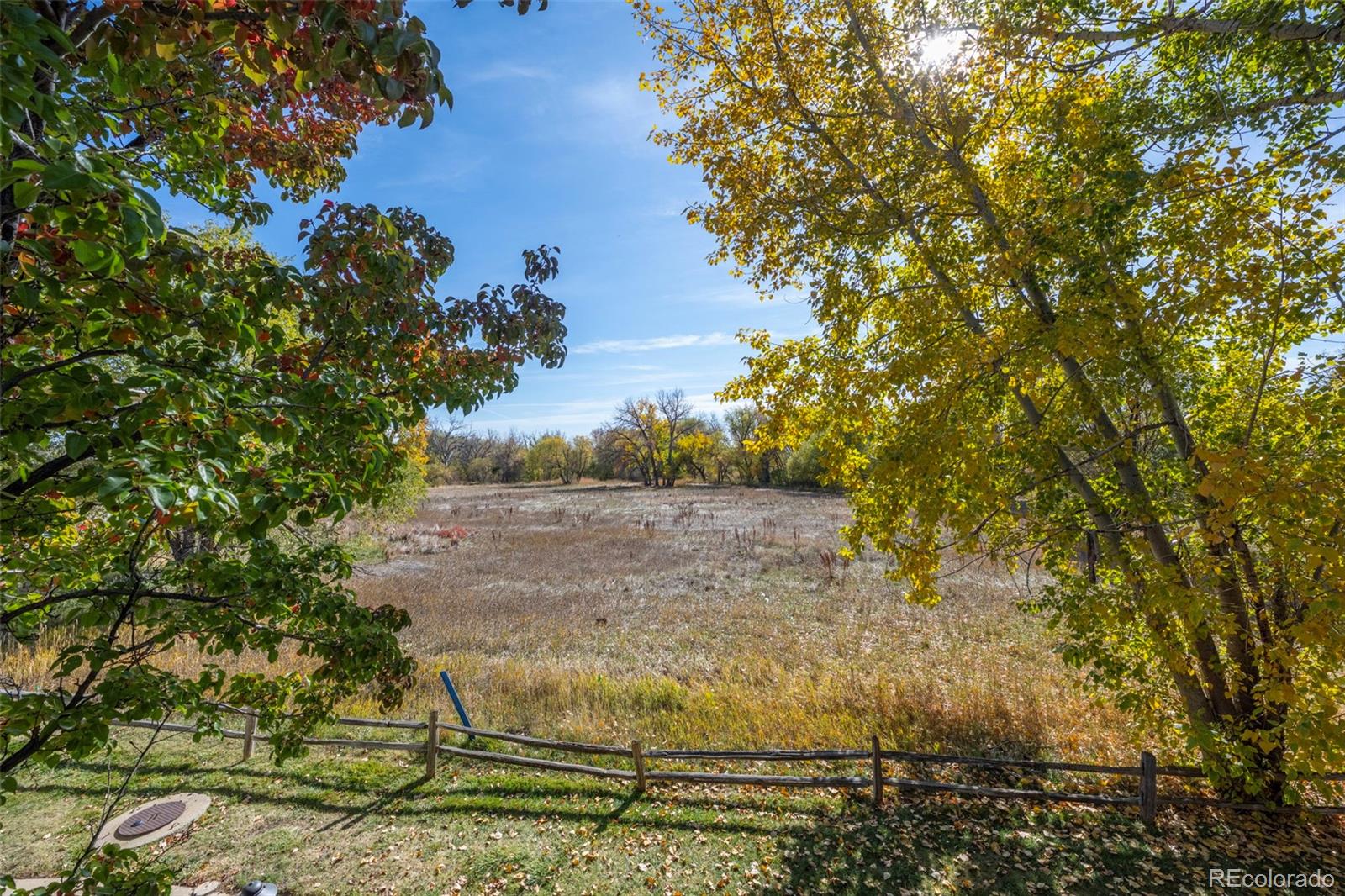 MLS Image #23 for 1111  elysian field drive,lafayette, Colorado