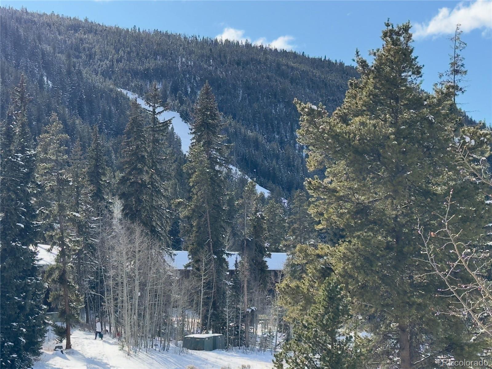 MLS Image #26 for 1513 e keystone road,dillon, Colorado