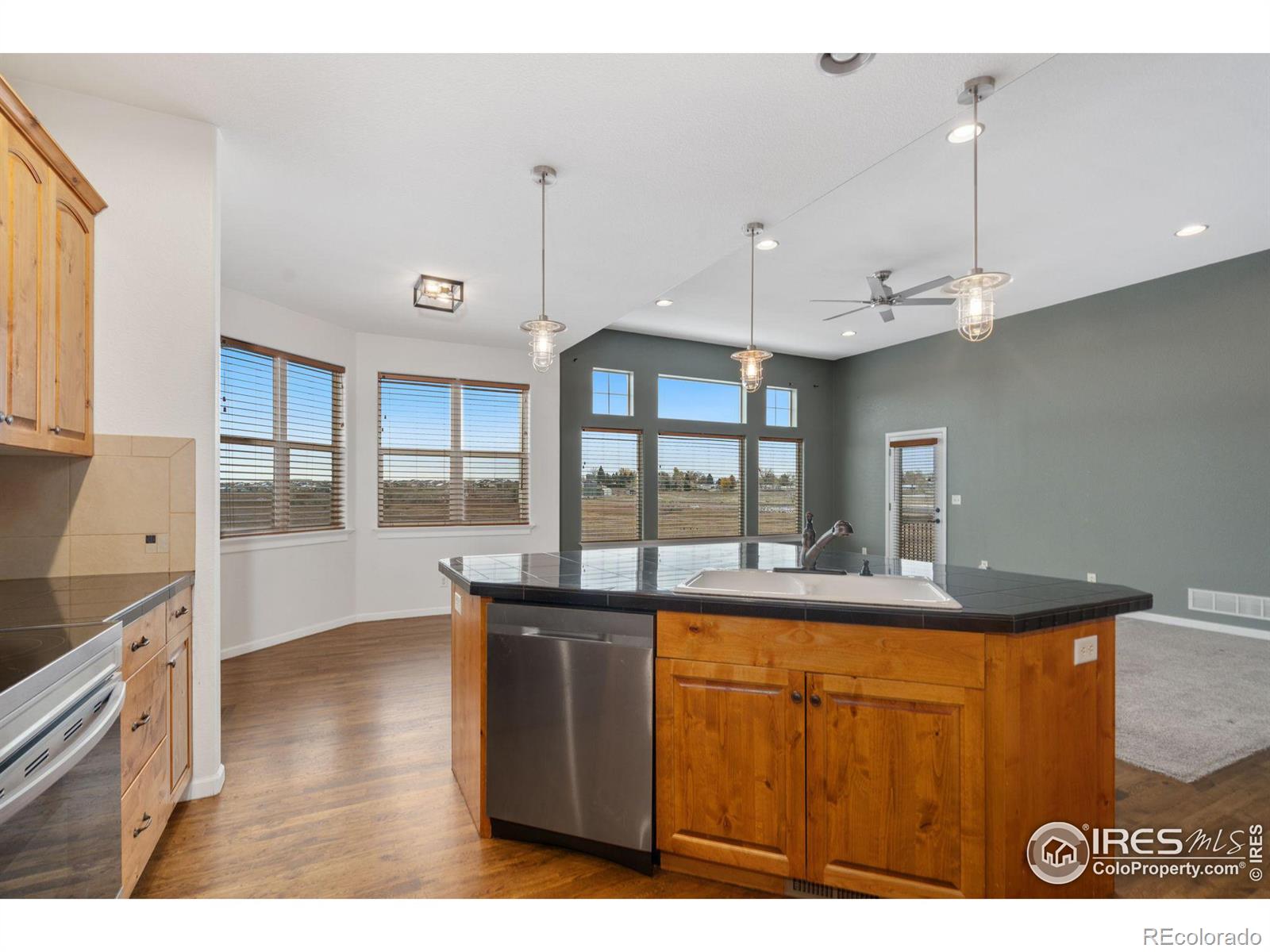 MLS Image #10 for 5270  coral burst circle,loveland, Colorado