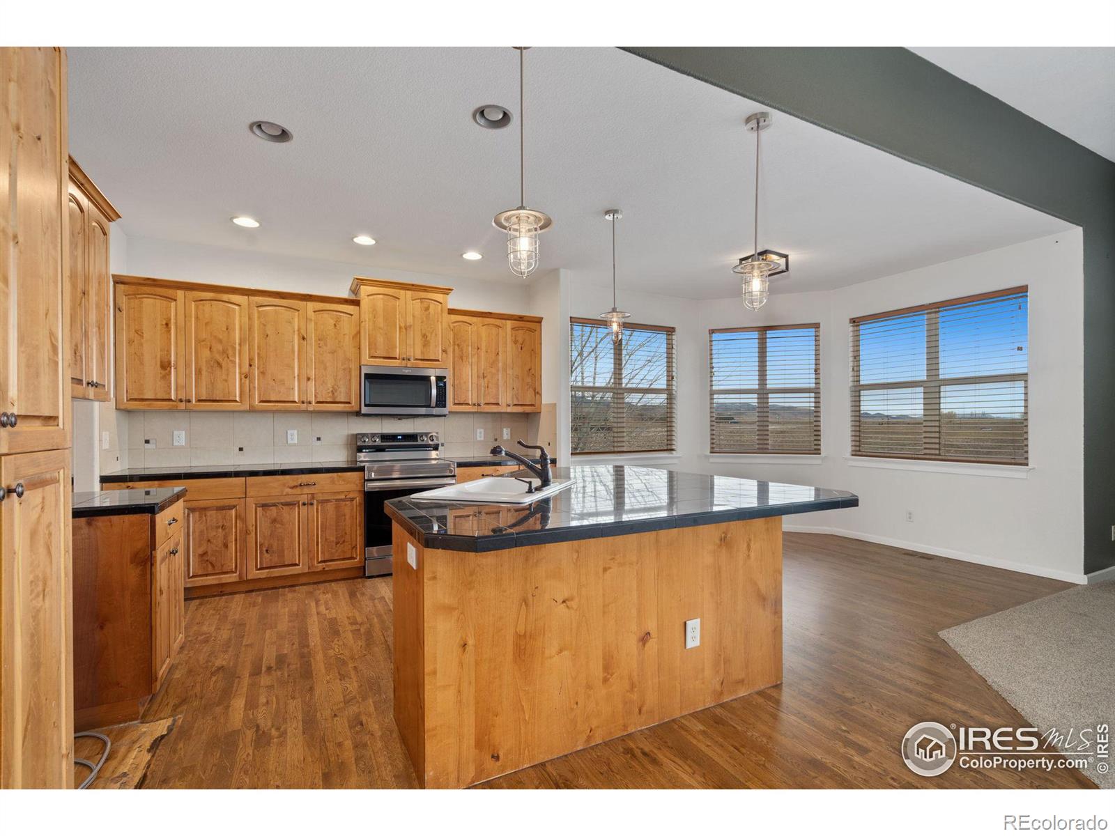 MLS Image #7 for 5270  coral burst circle,loveland, Colorado