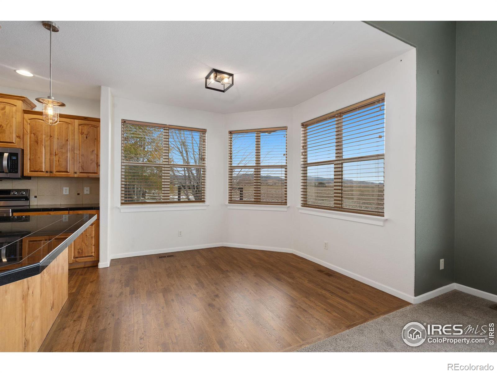 MLS Image #8 for 5270  coral burst circle,loveland, Colorado